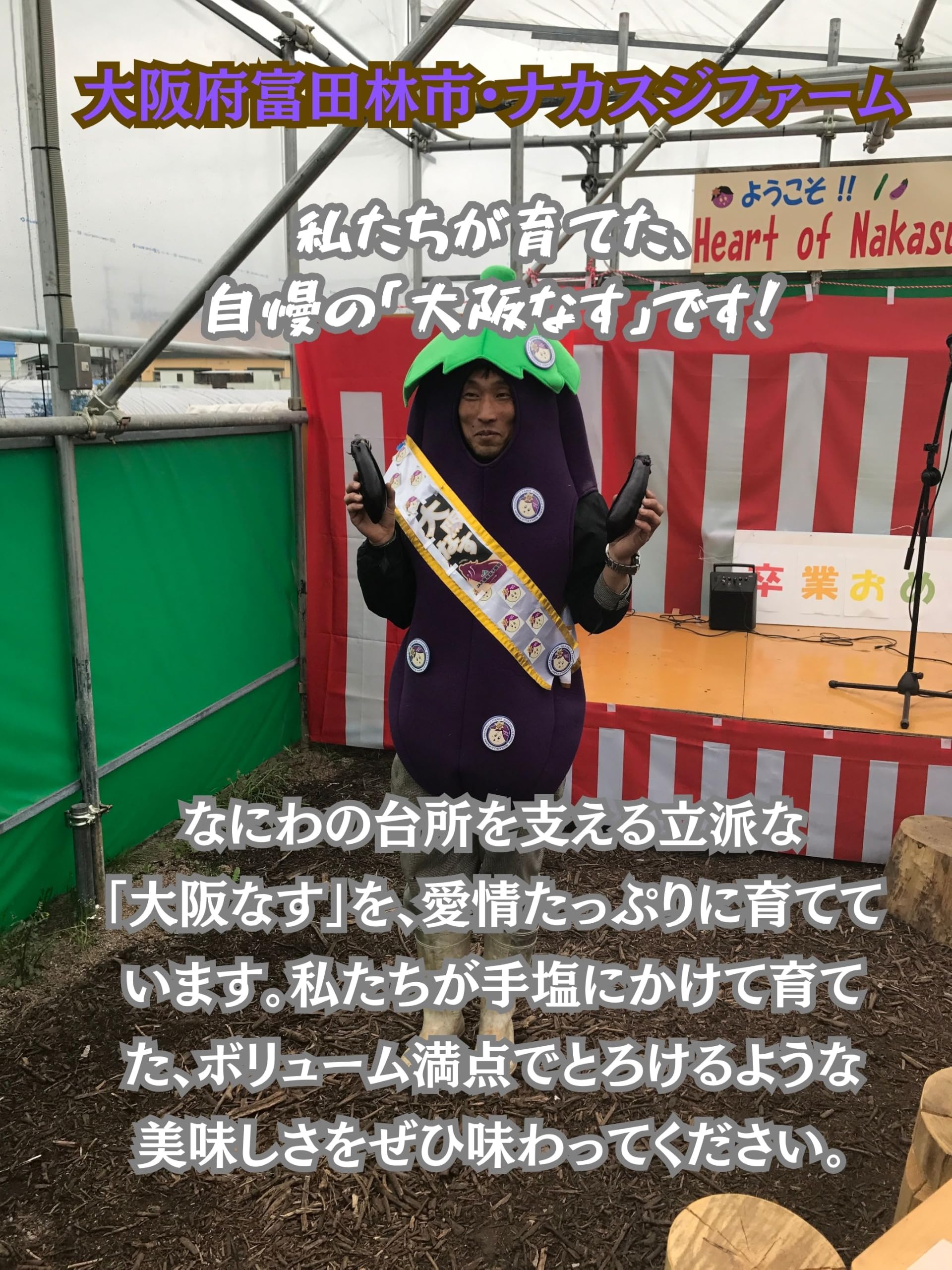 Amazon.co.jp: 大阪府産 サン・グリーンズ 大阪なす 2本 : Food