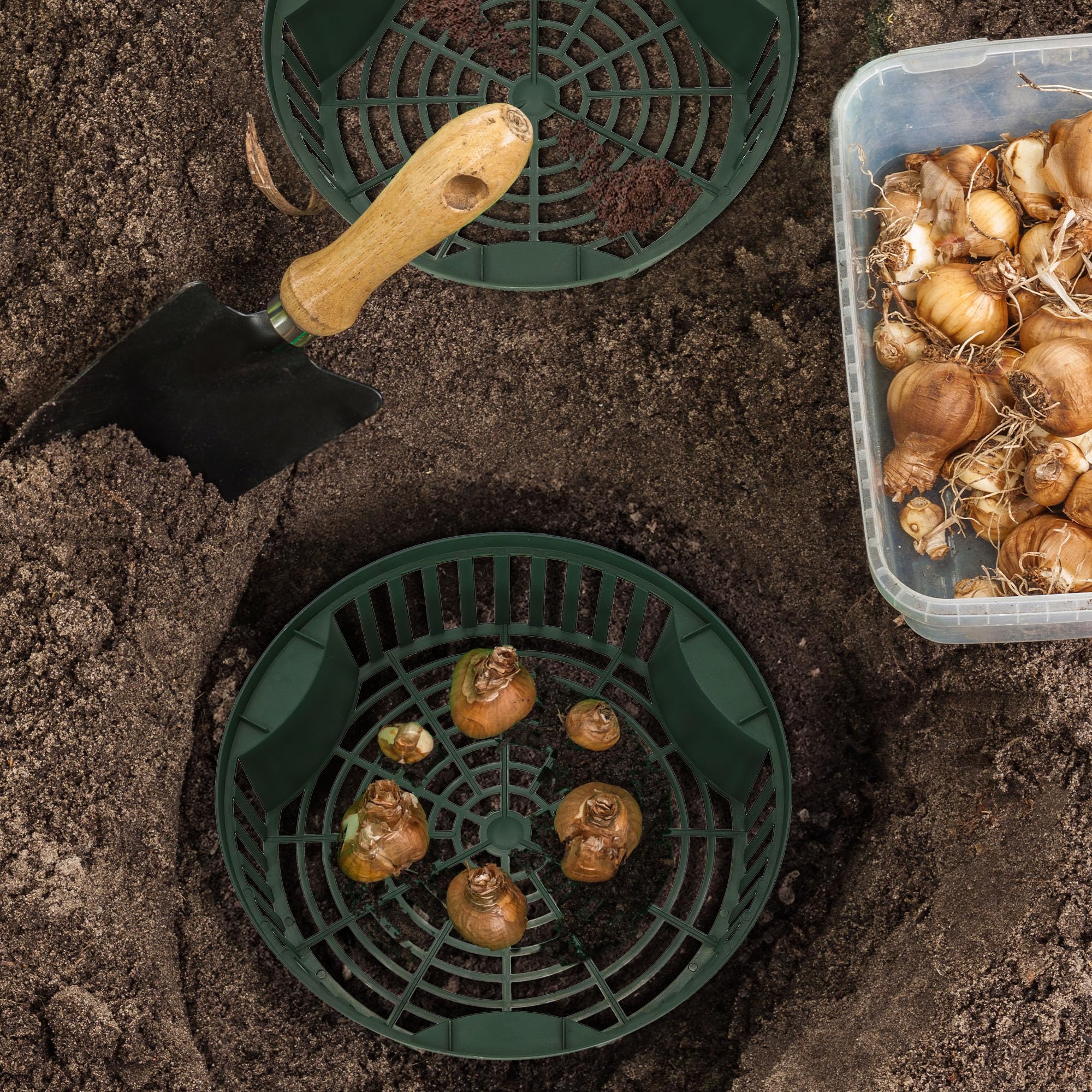 KOTARBAU® Set 10 Unidades Cesta para Bulbos - Plástico - ⌀ 265 mm - Verde - Bandeja para Plantar Bulbos de Flores - Tulipanes - Narcisos - Organizador Jardín - Reutilizable