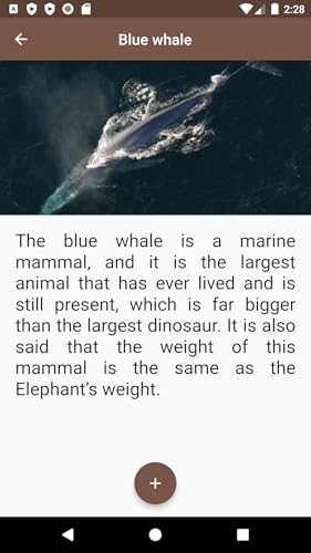 Sea Animals SA