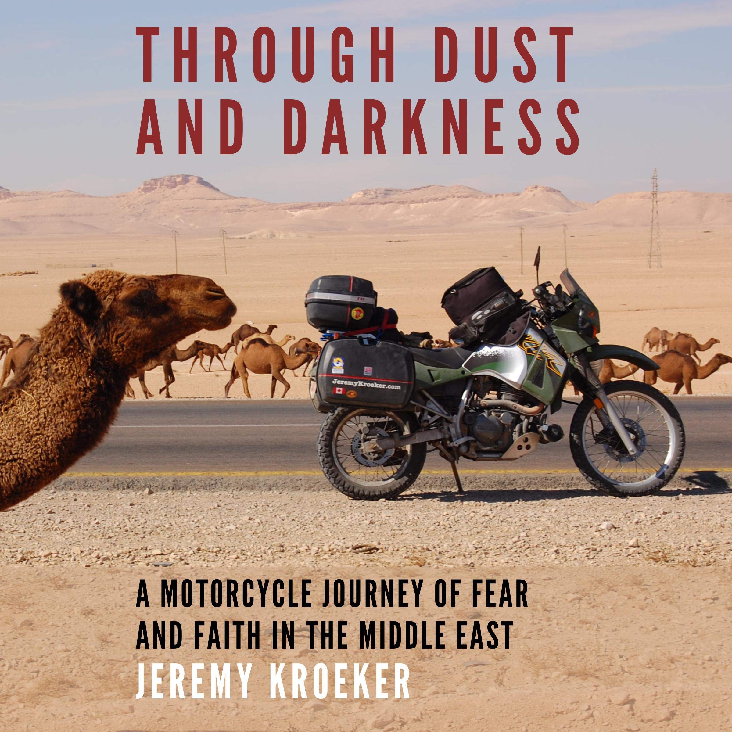 Cover art for Through Dust and Darkness