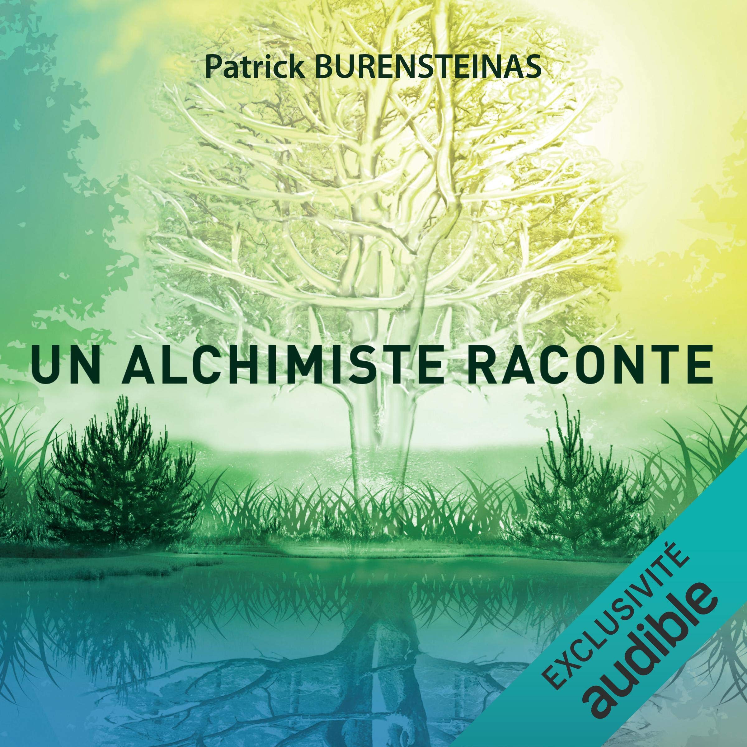 Cover art for Un alchimiste raconte
