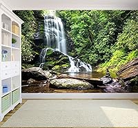 Vista 134 de Papel tapiz tropical de hojas de plátano verde, murales de plantas para dormitorio y sala de estar (no es autoadhesivo)