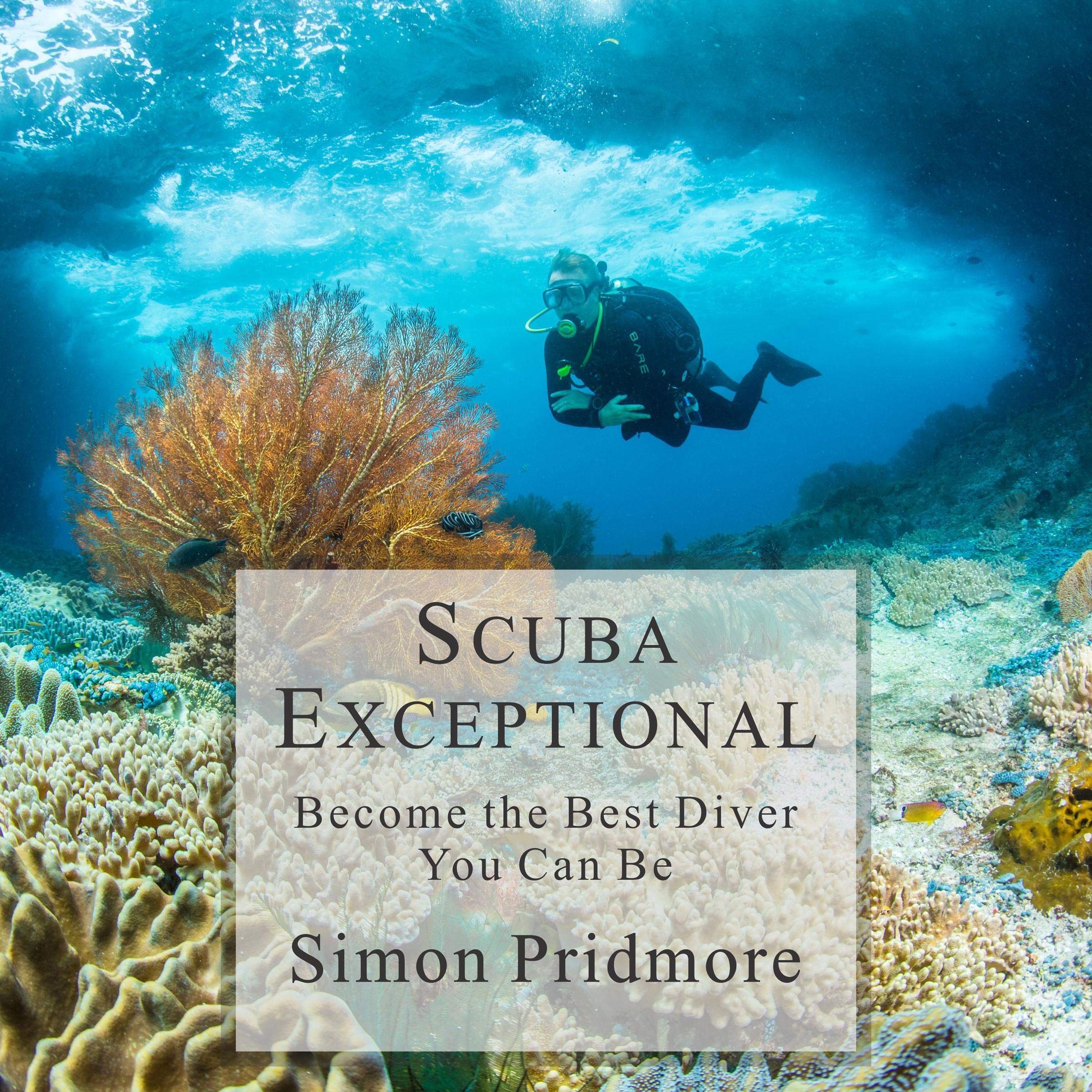 Cover art for Scuba Exceptional