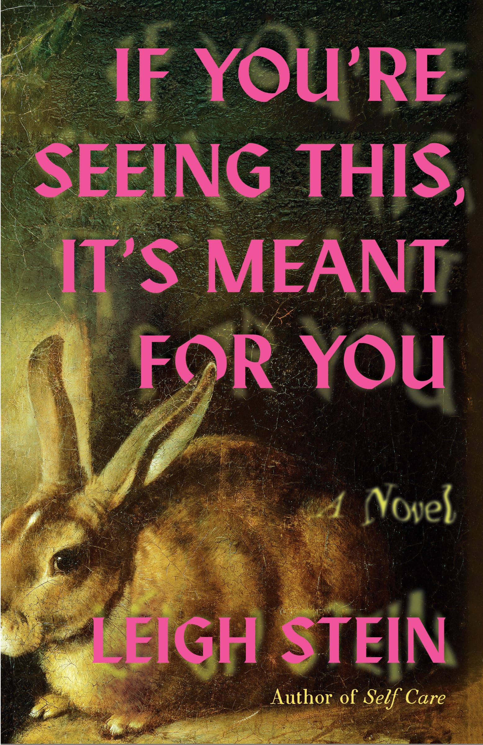 If You're Seeing This, It's Meant for You: A Novel