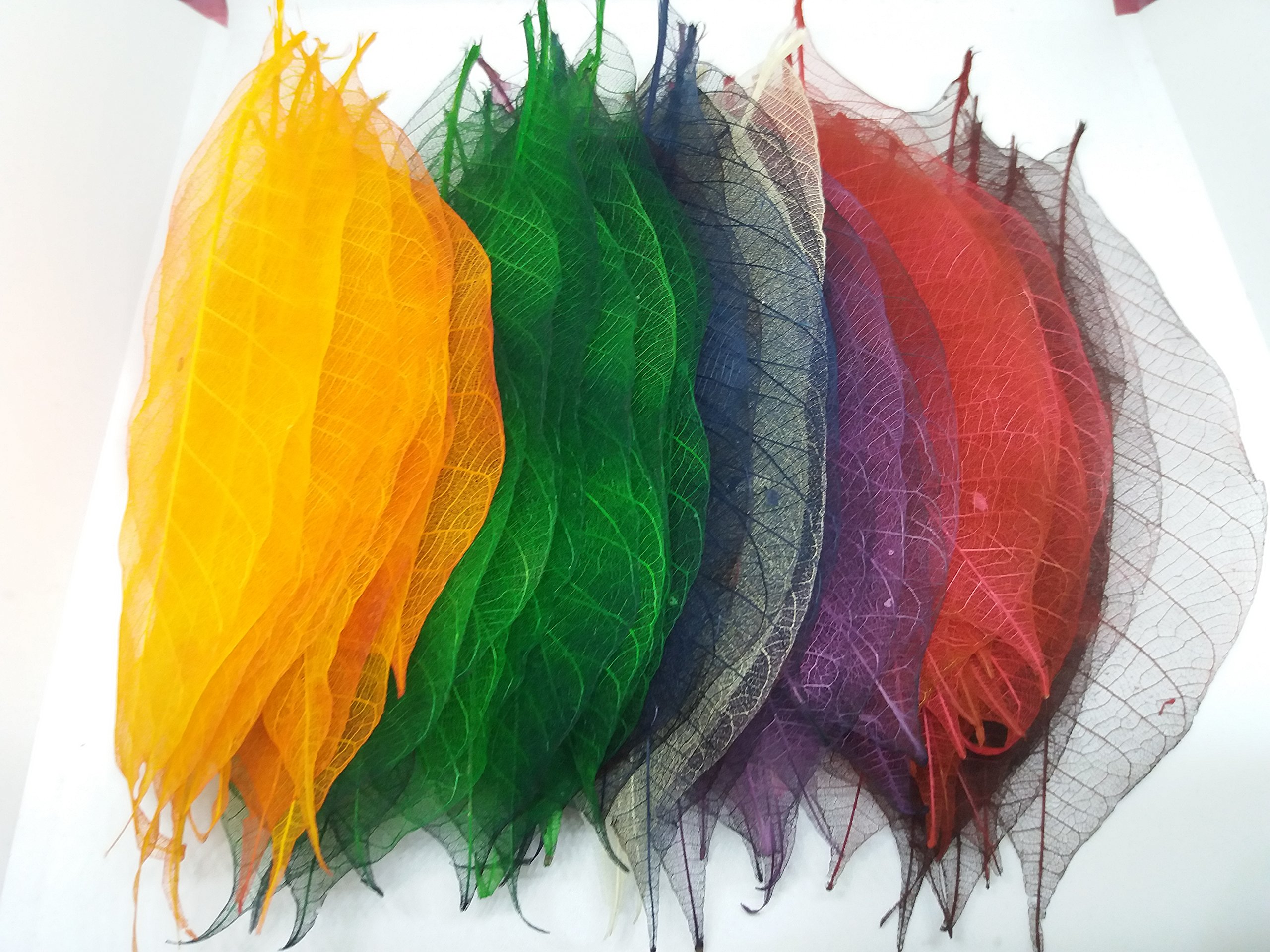 100x Multi-Color Natural Skeleton Leaves Rubber Tree Scrapbook Craft Wedding Decor