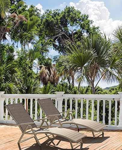 Miniatura 5 de Flamaker Juego de 2 sillas reclinables para patio, tumbonas ajustables y plegables para exteriores, para playa, piscina y patio (beige)