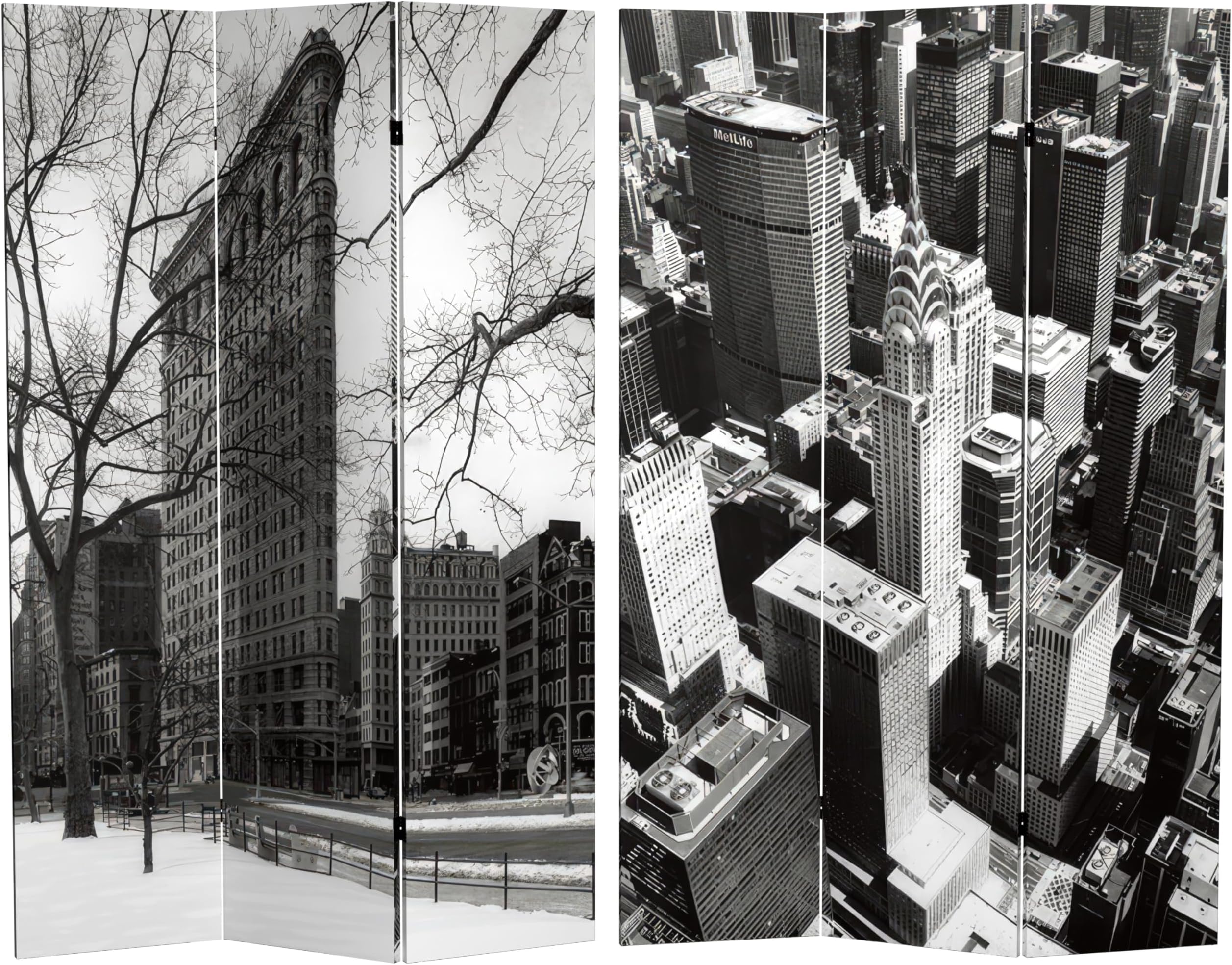 6 ft. Tall New York Reflections Room Divider, New York City