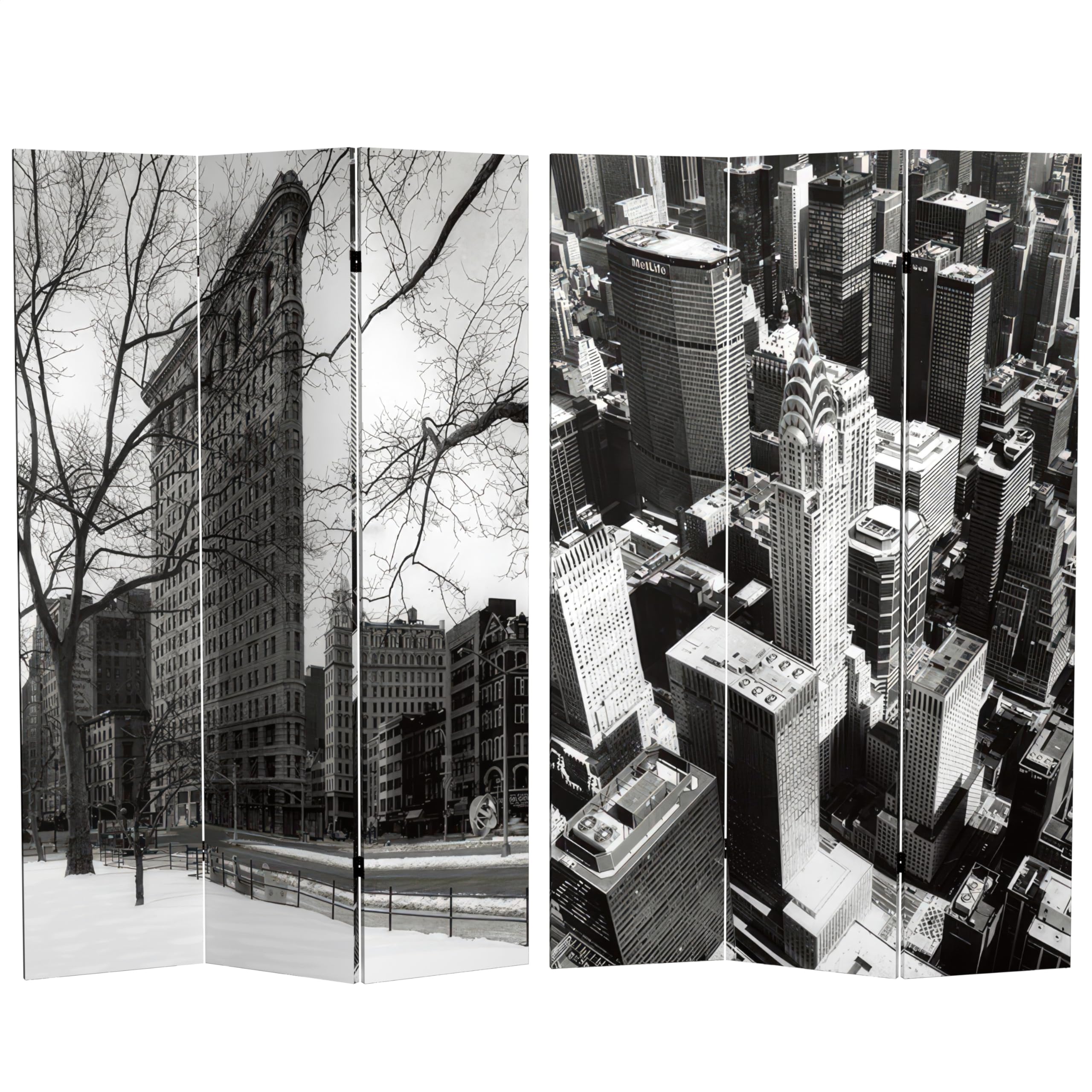 Red Lantern 6 ft. Tall New York Reflections Room Divider, New York City