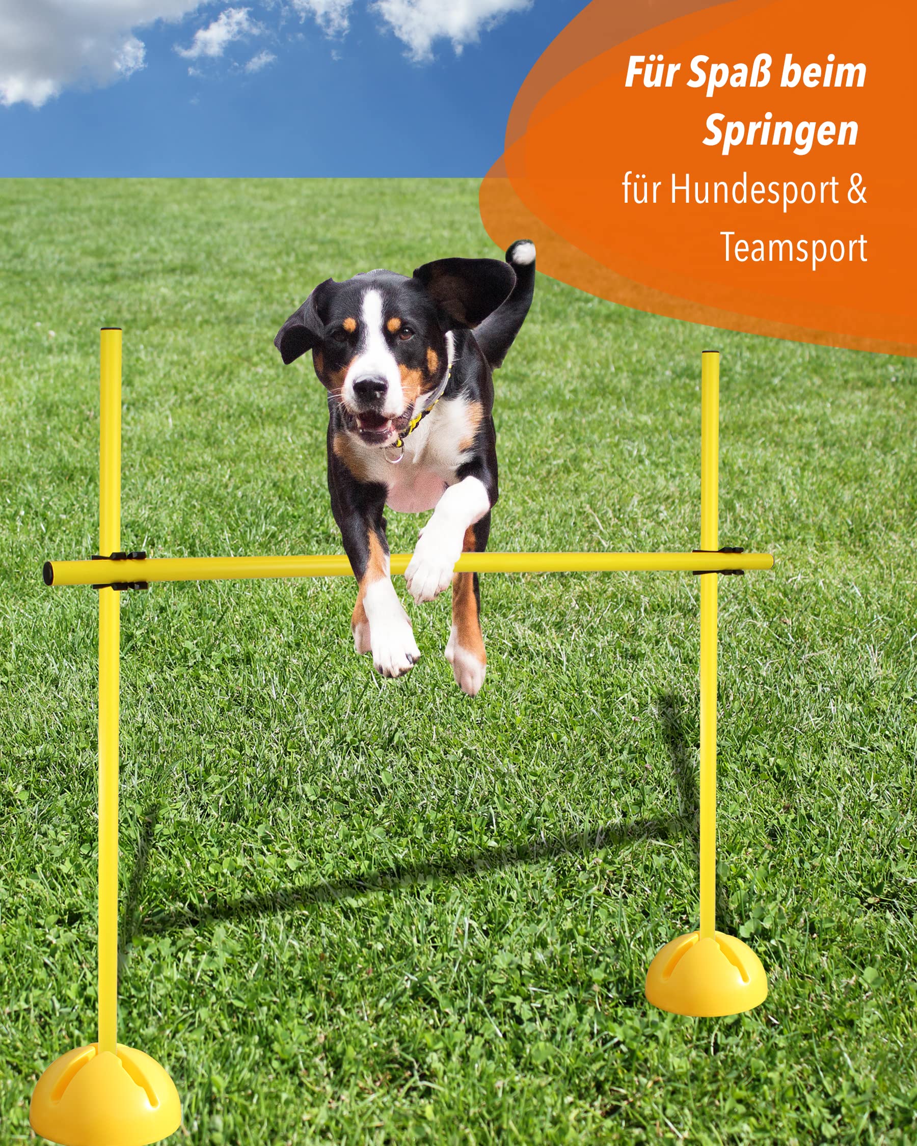 Kombi-X-Standfuß-Hürdenset – Stangen 100 cm – Training der Sprungkraft & Koordination – befüllbarer X-Standfuß – Agility-Hürde für Fußball, Leichtathletik & Hundesport