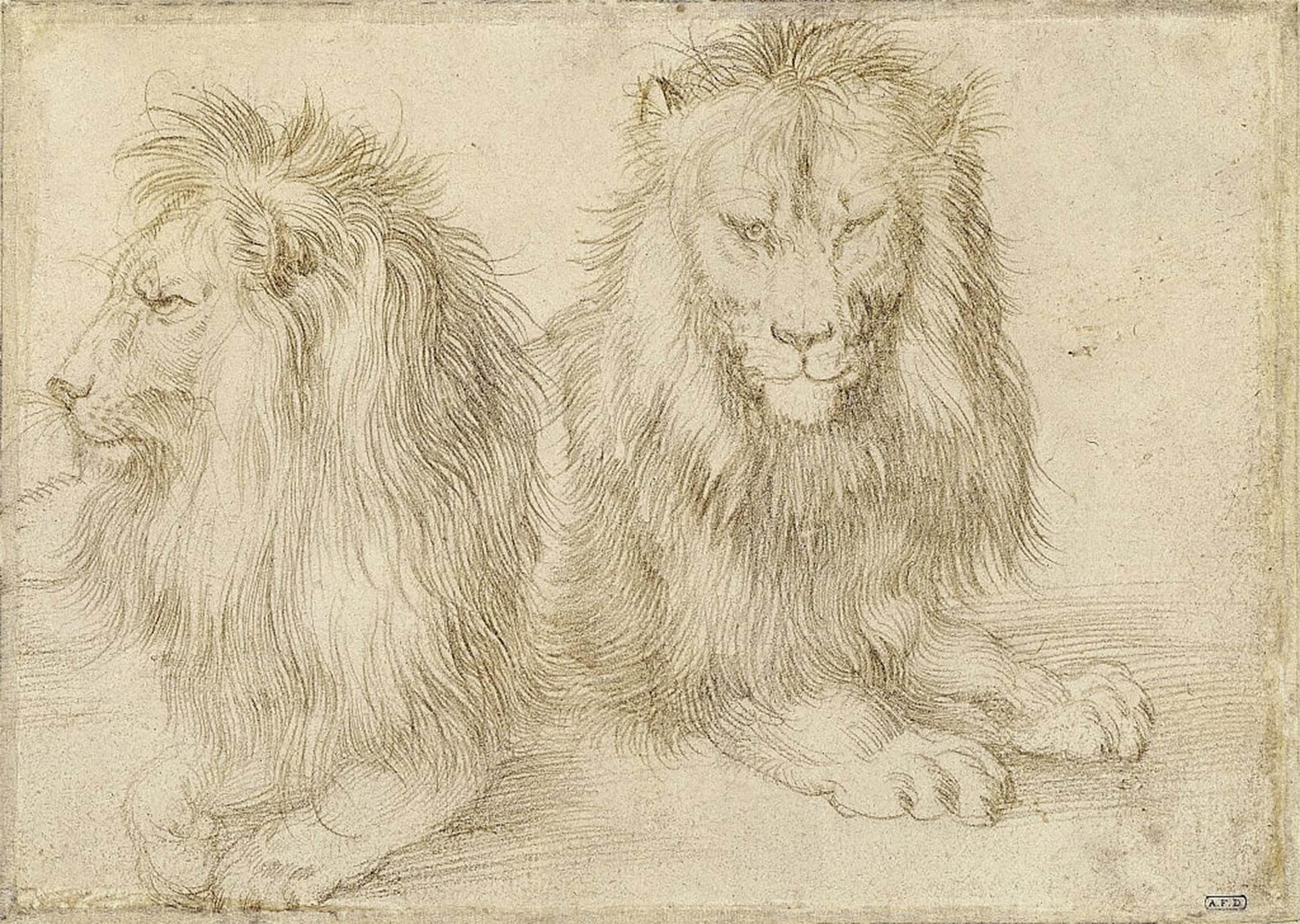 POSTERIIk Famous Animal Posters Vintage Picture Two Seated Lions by Albrecht Dürer Modern Wall Decor for Home Decor 60x90cm