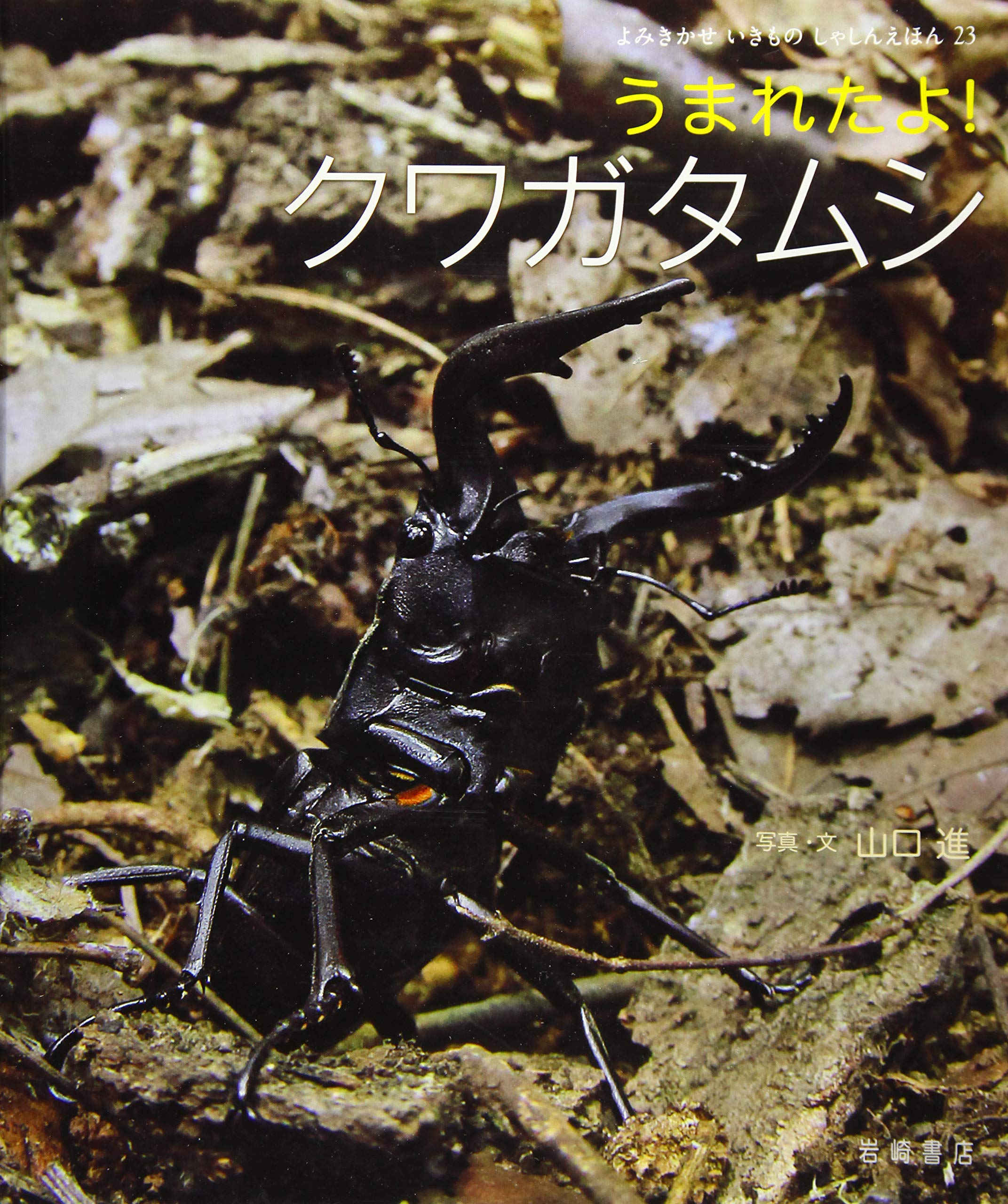 小学生が描いたよ！クワガタ　値下げOK‼︎ 91CZnXZqaPL.jpg