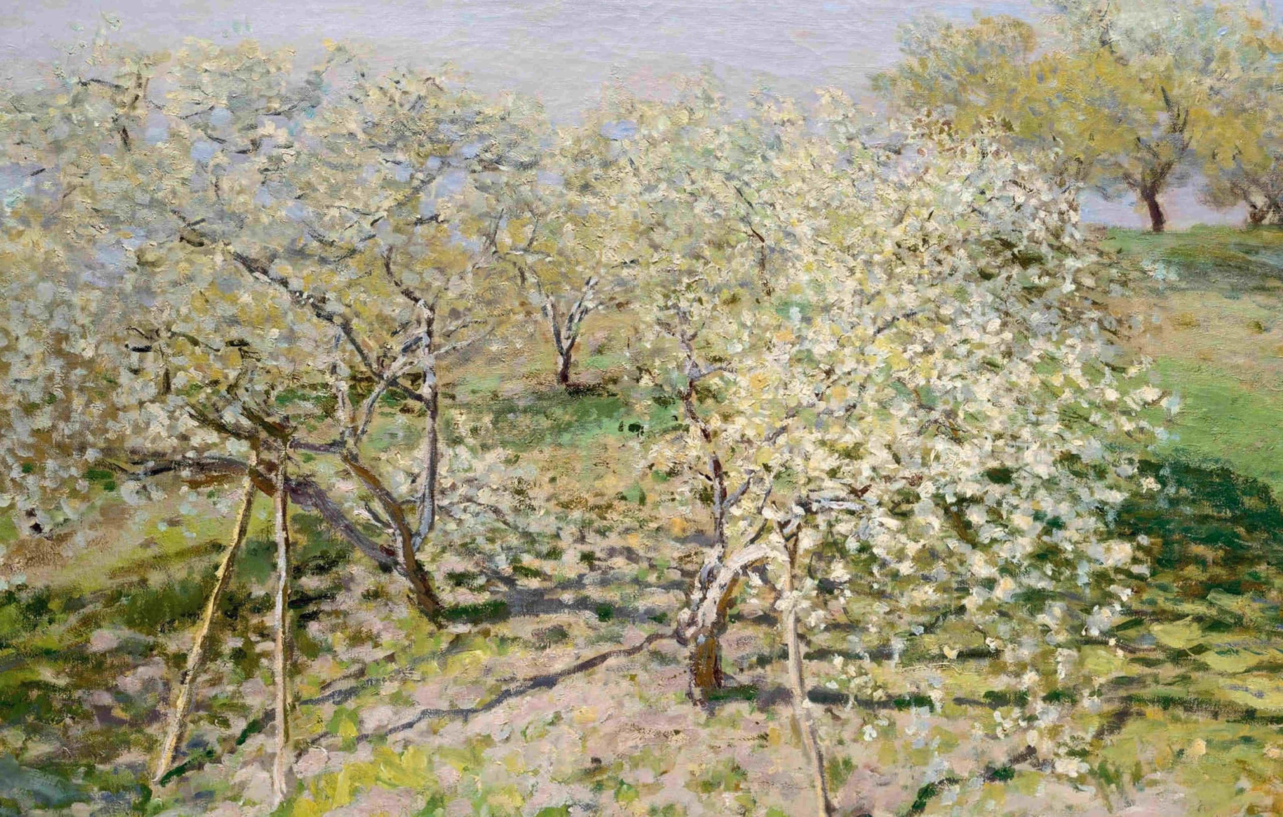 Monet: Par-delà l'horizon