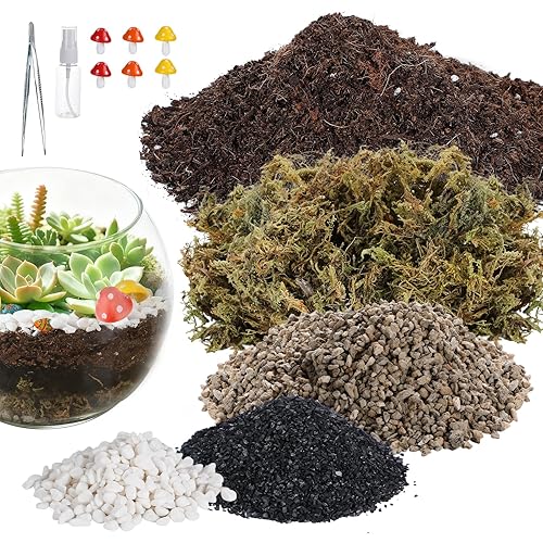 Terrarium Kit Adults - Includes Pumice, Moss, Soil, Pebbles, Charcoal,