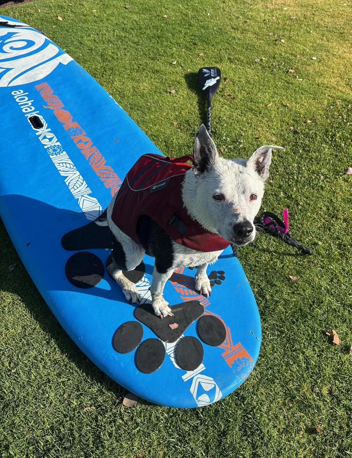 Pup Deck Dog Traction pad for paddleboards, Kayaks, Training