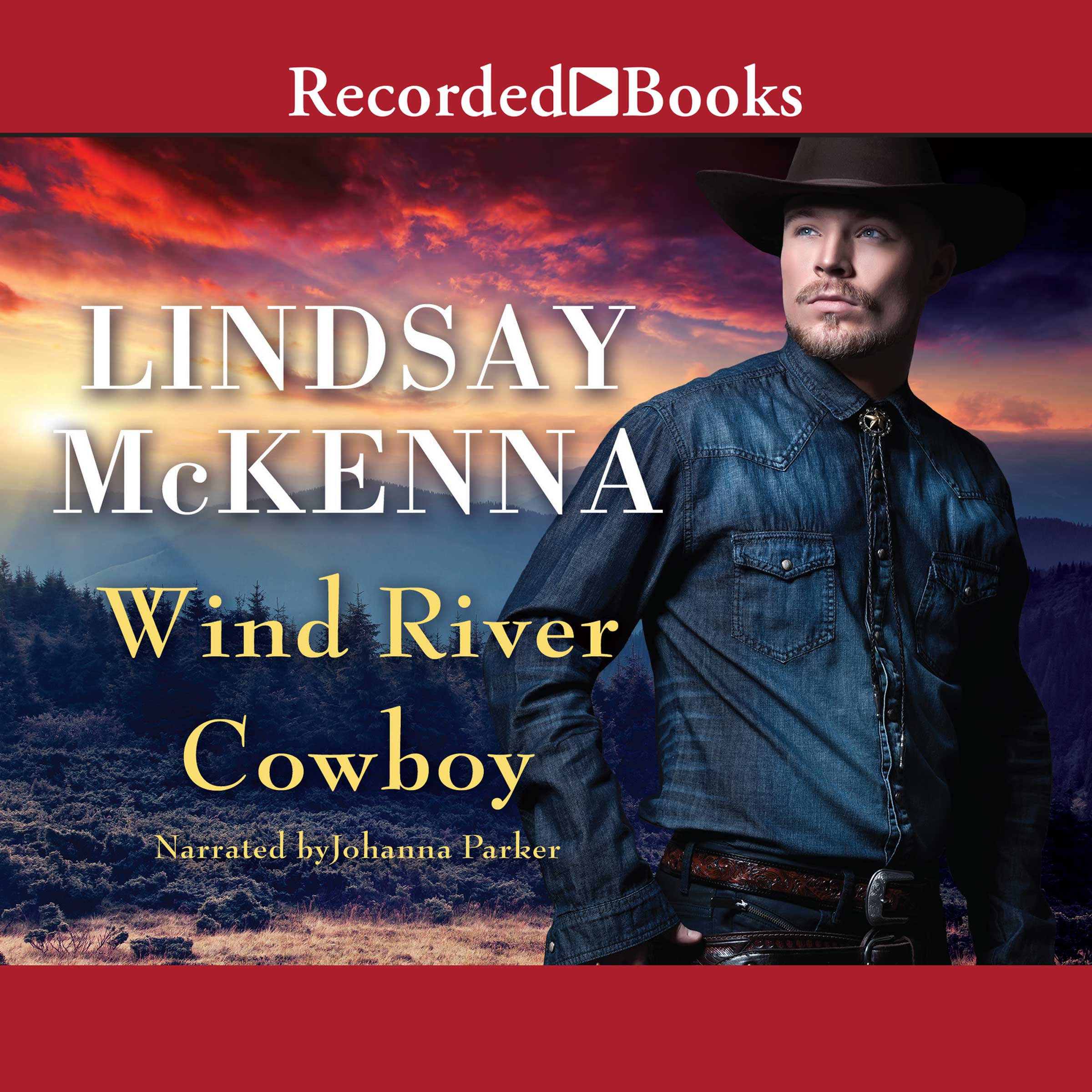 Cover art for Wind River Cowboy