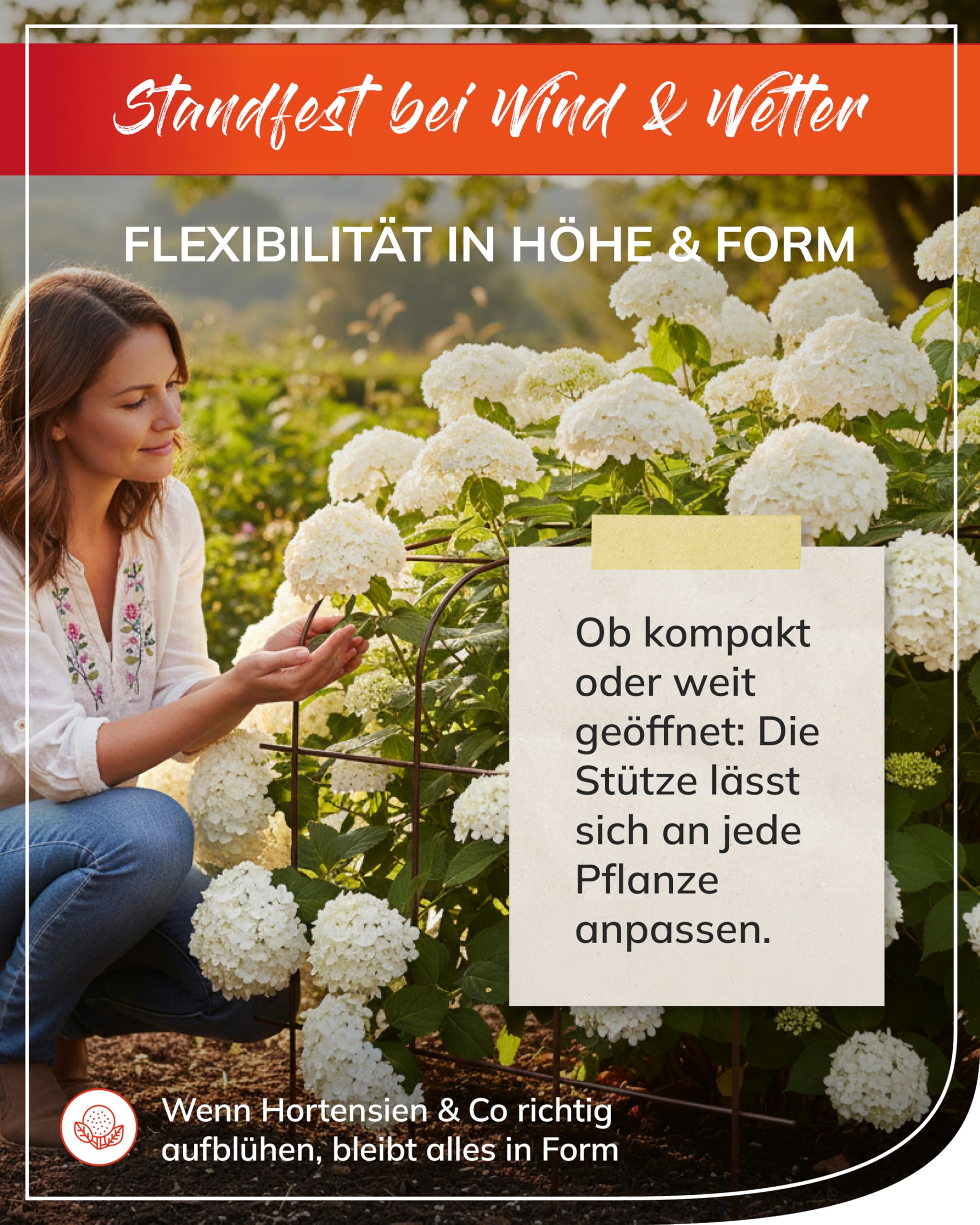 bellissa - Supporto per ortensie (Annabelle) – Supporto per piante in metallo zincato a caldo 65 cm – Supporto per ortensie e piante per grandi fiori