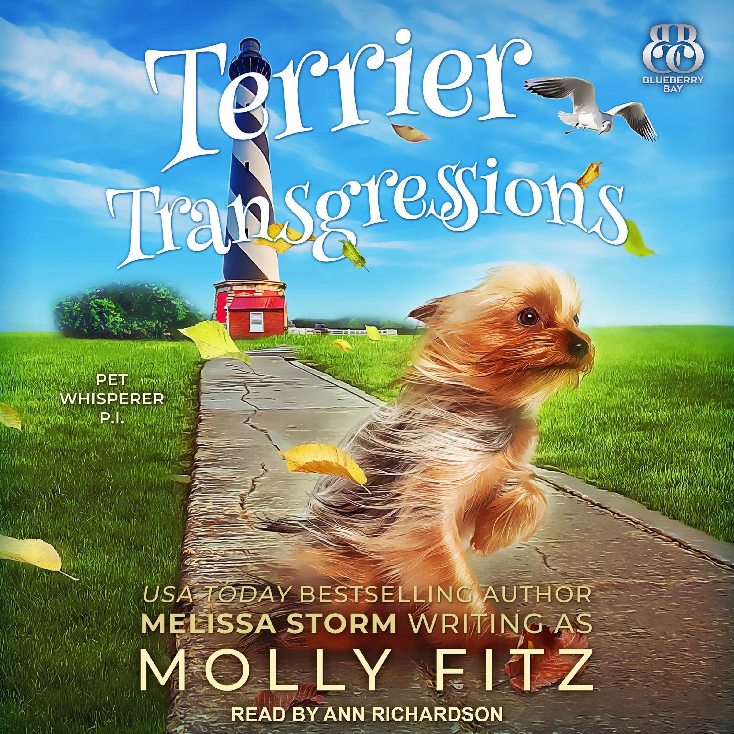 Cover art for Terrier Transgressions