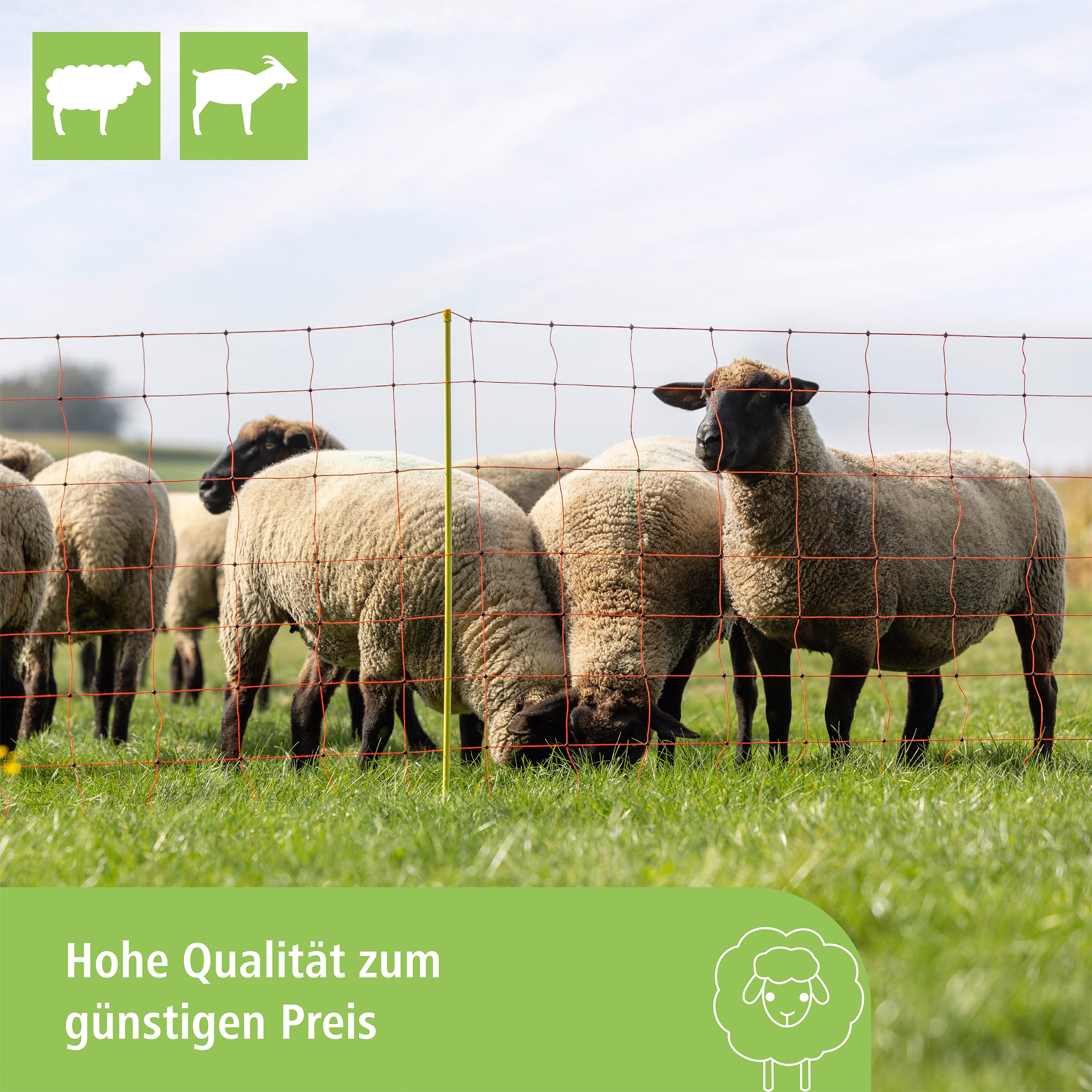 Kerbl Hobbyfarming Rete per Ovini ClassicNet, Recinzione Mobile per pascolo, Rete da pascolo, Doppia Punta, Arancione, 50m x 108cm, 13 Pali, 3 Anni di Garanzia sulla stabilità ai Raggi UV