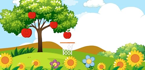 Hoops & Fruits – vue 5
