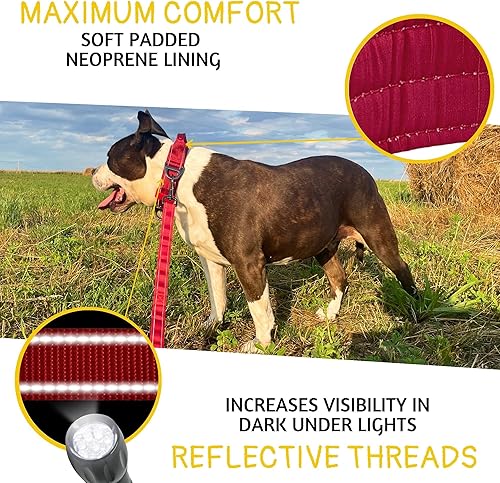 Miniatura 4 de ADITYNA Collar de perro resistente para perros grandes, collar reflectante burdeos con asa para entrenar y caminar, ancho, grueso, táctico,