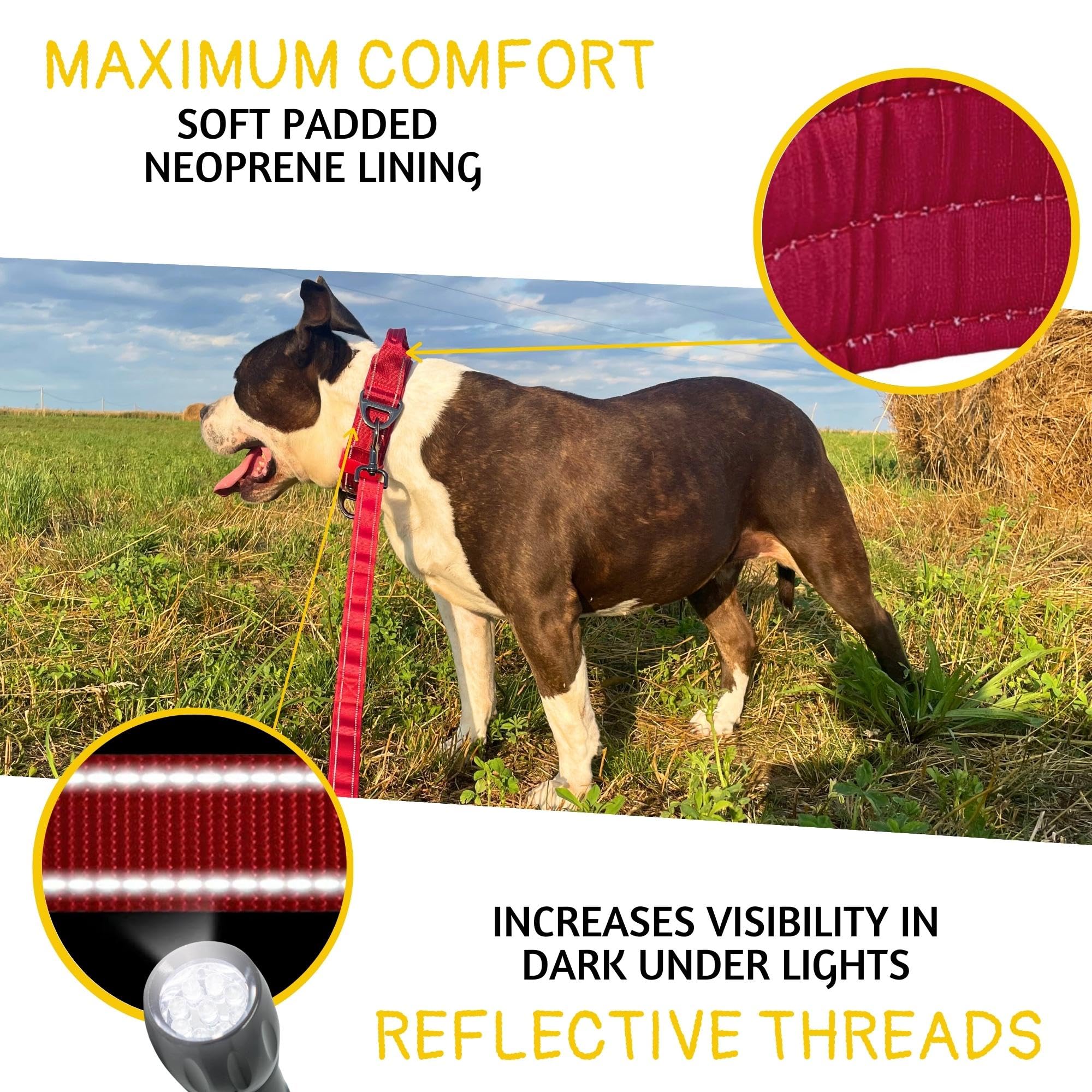 ADITYNA - Collar de perro resistente con asa - Collar reflectante de color burdeos para perros grandes - Ancho, grueso, táctico, acolchado suave