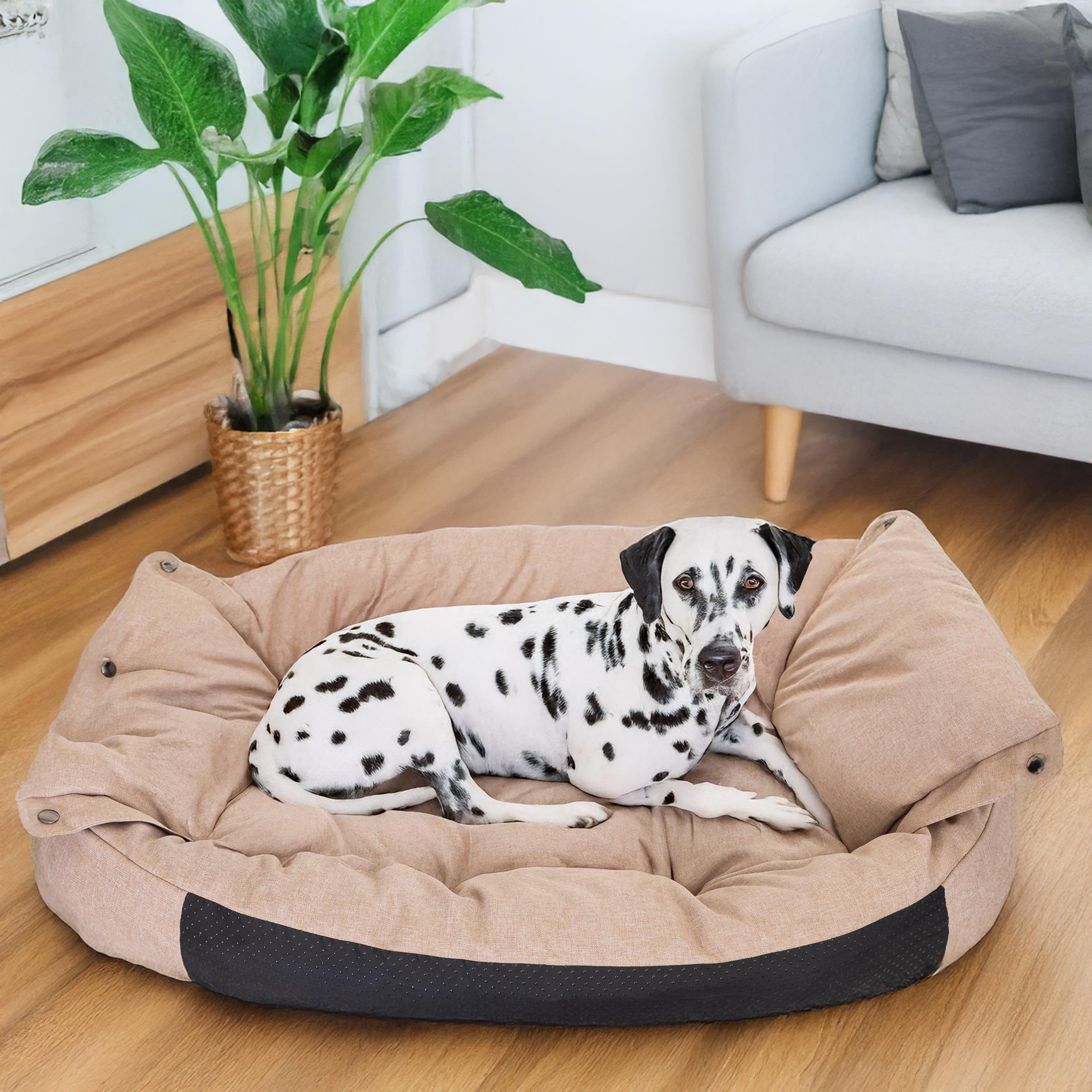 PillowPrim Hundebett & Hundematratze in einem - Hundesofa für kleine und mittelgroße Hunde - leicht zu reinigen - Bequemes Haustierbett - Hundekissen - L 76x56 cm - Beige