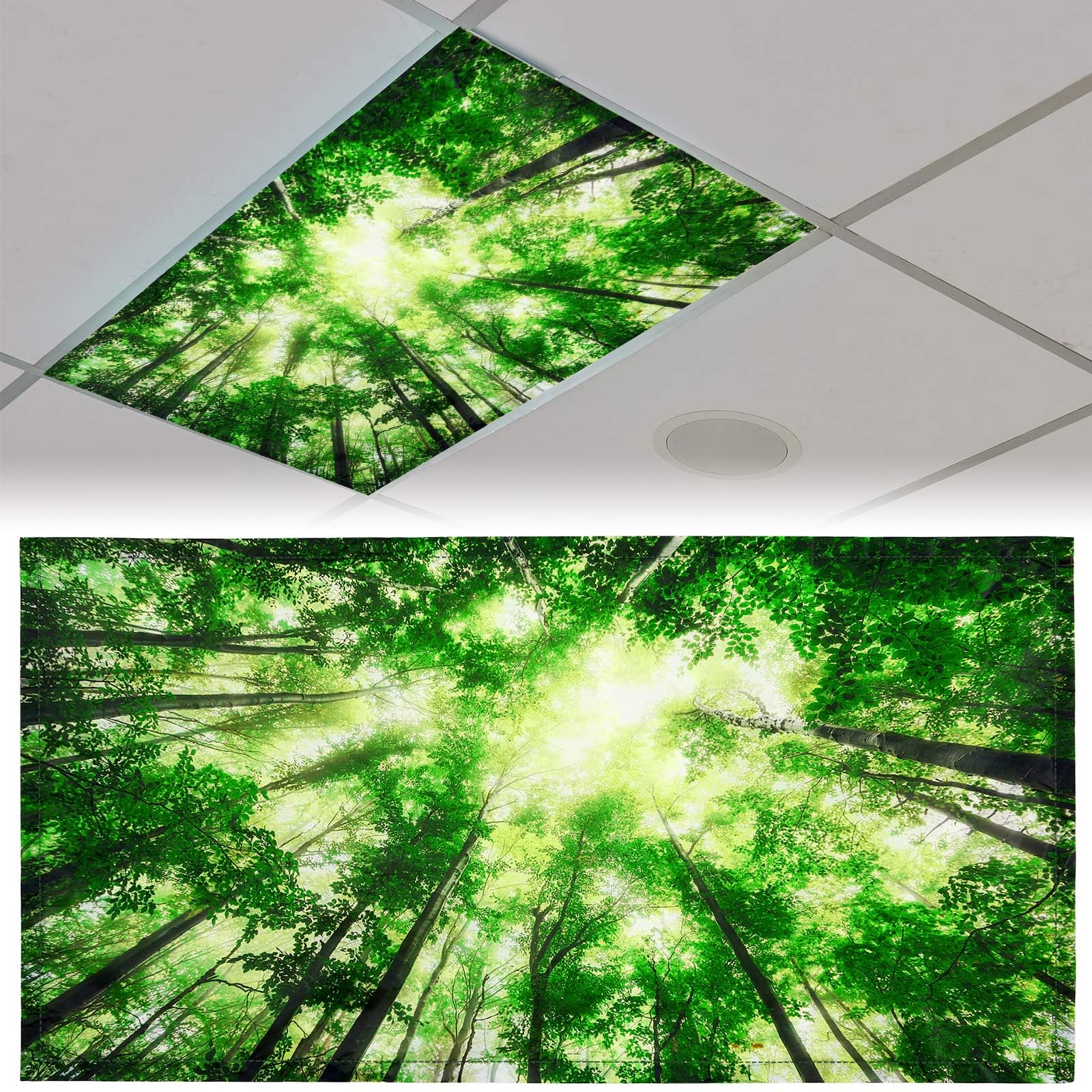 Patelai 4 x 2 Feet Fluorescent Light Cover for Ceiling Lights Magnetic Light Cover with 10 Magnets Fluorescent Light Filters for School Classroom Home Office Drop Lamp Decor(Forest)