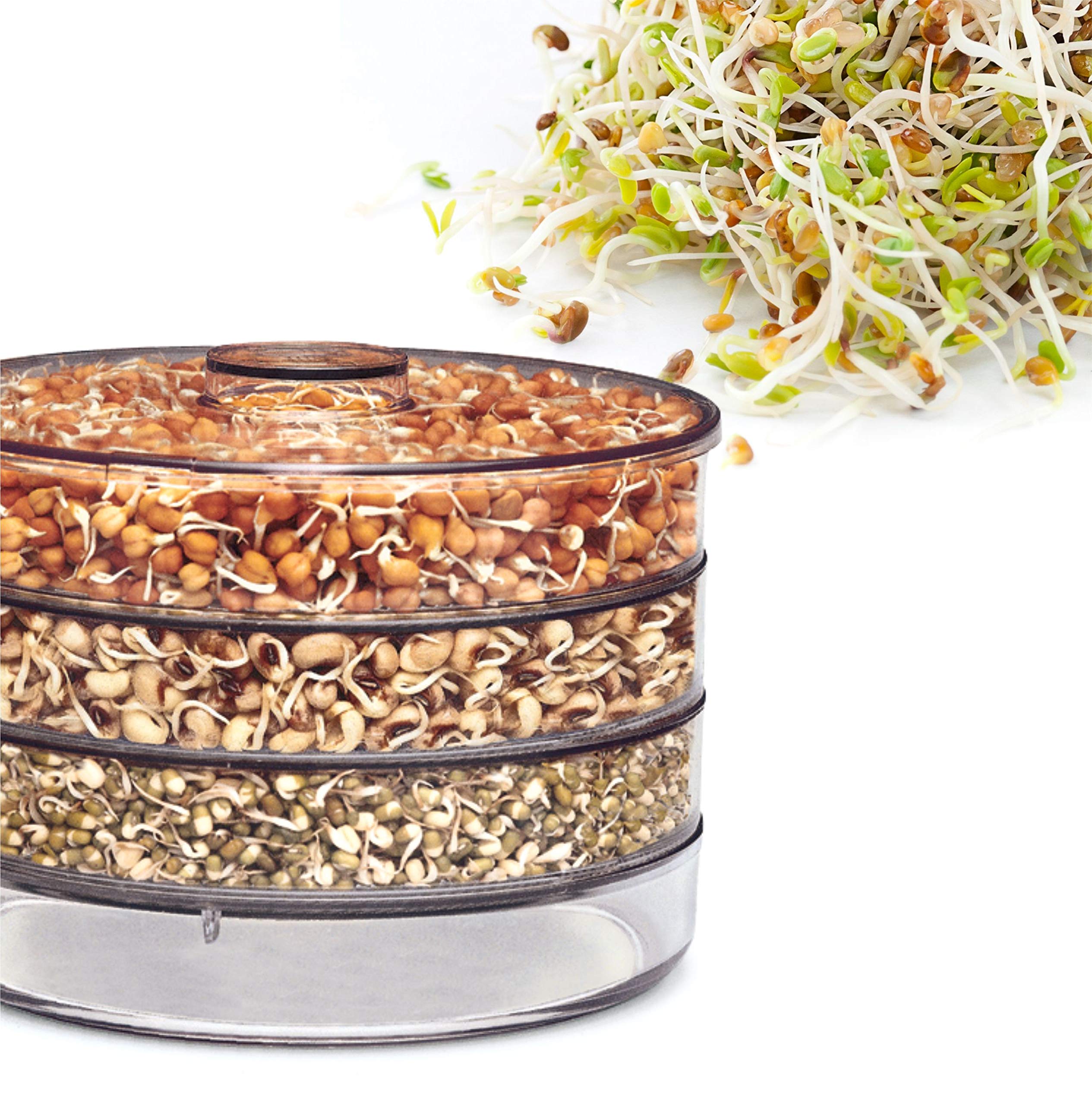 Anirdesh BPA Free Sprout Maker Grocery Container as Kitchenware (4 Containers) 3