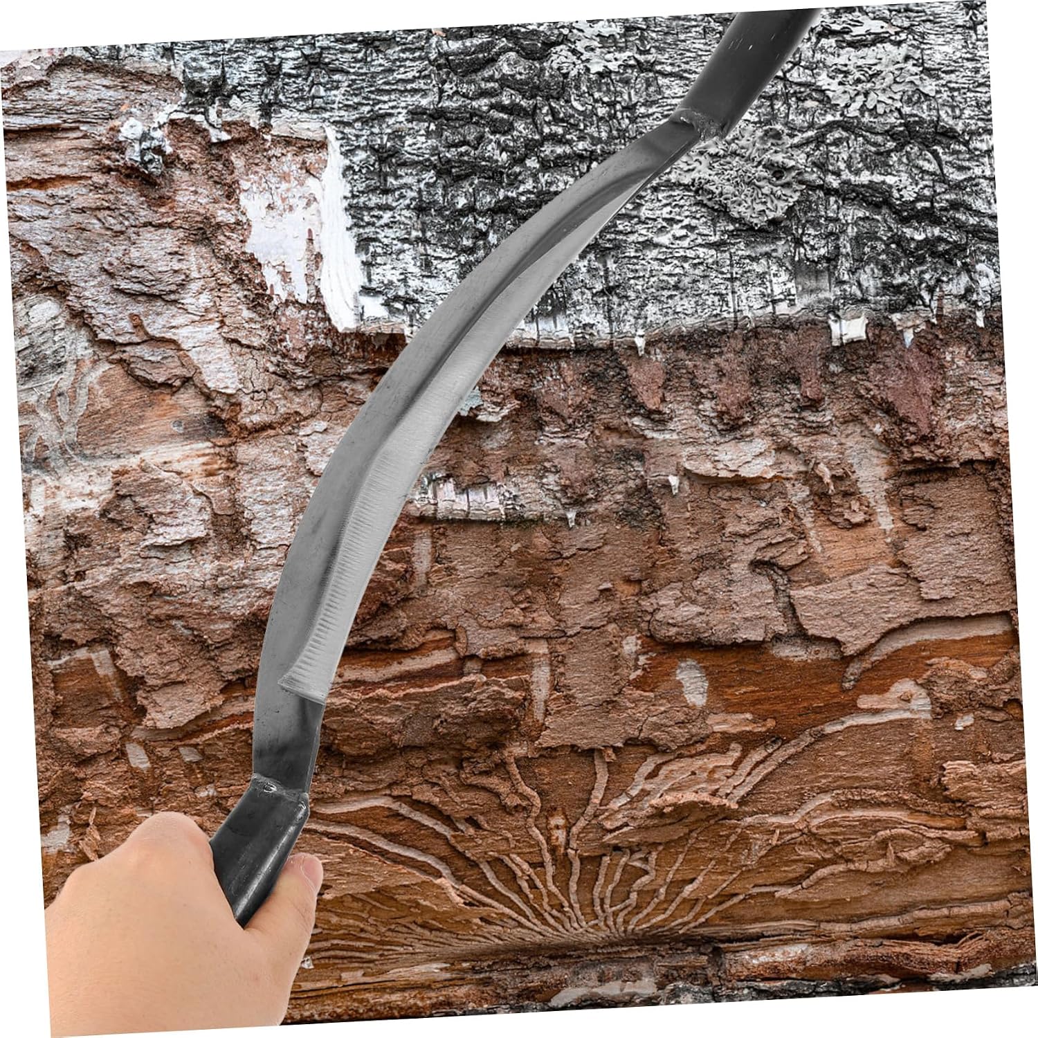 Toddmomy Bark Scraper Tool Curved Forged Manganese Steel Bark Stripper for Gardening Efficient Peeling and Scraping Durable Debarking Tool for Landscaping and Carpentry