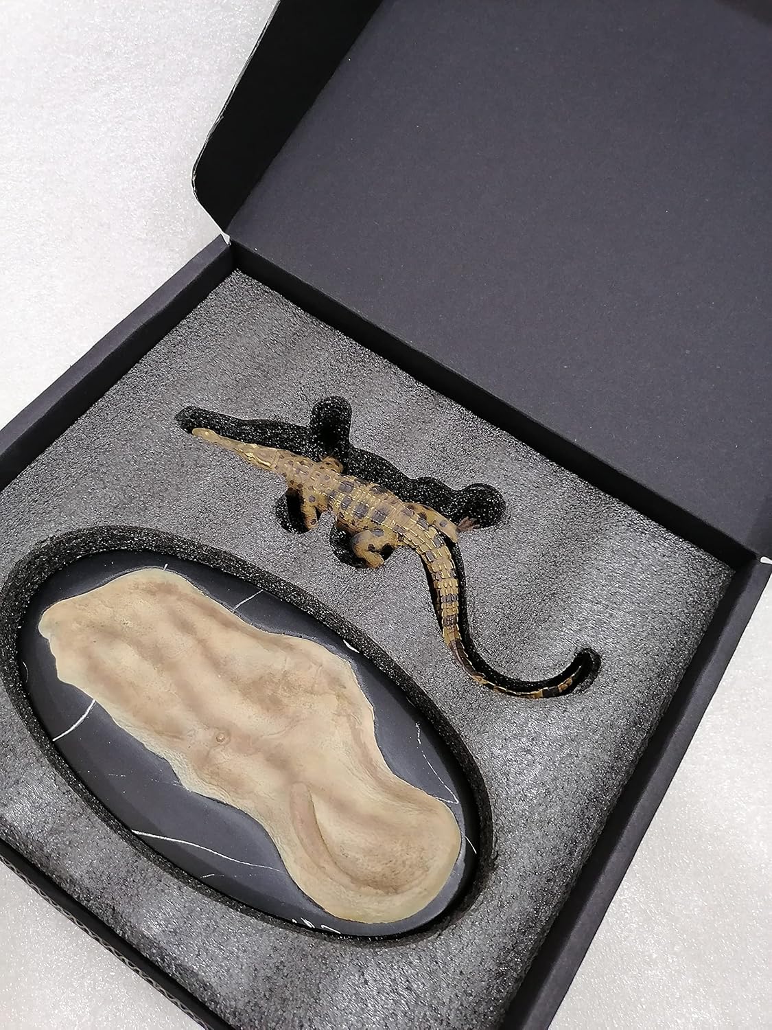 Memory Museum 1/15 Youth Crocodile Statue Repitilia Animal Resin Collector Toys Art Model Decoration Gift for Adult
