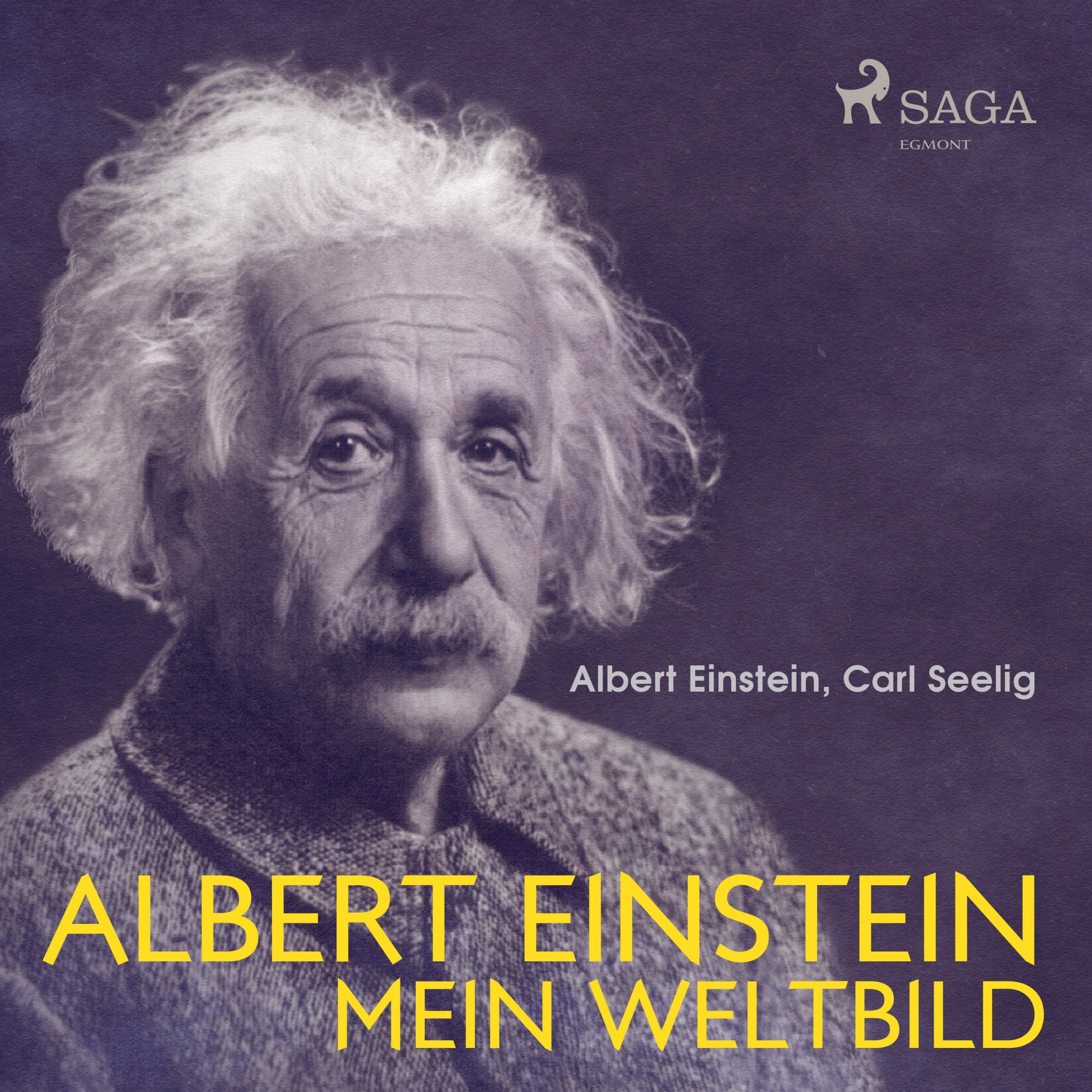 Cover art for Albert Einstein - Mein Weltbild