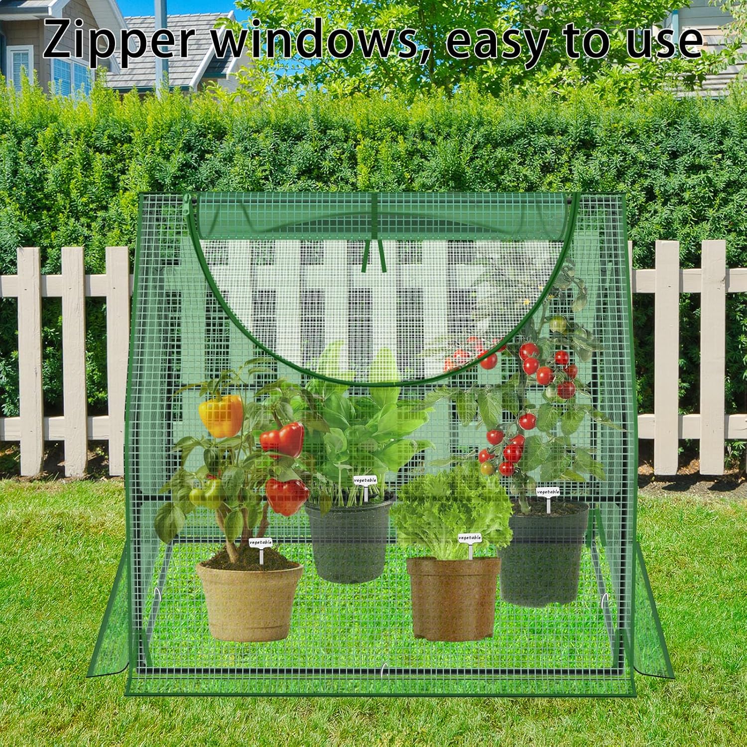 https://m.media-amazon.com/images/I/91Cbbvx9A+L._AC_SL1500_.jpg