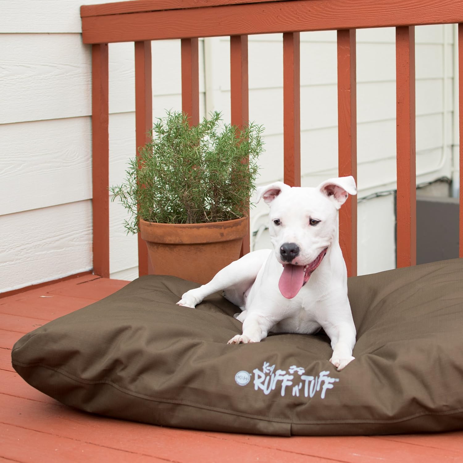 ruff tuff dog bed