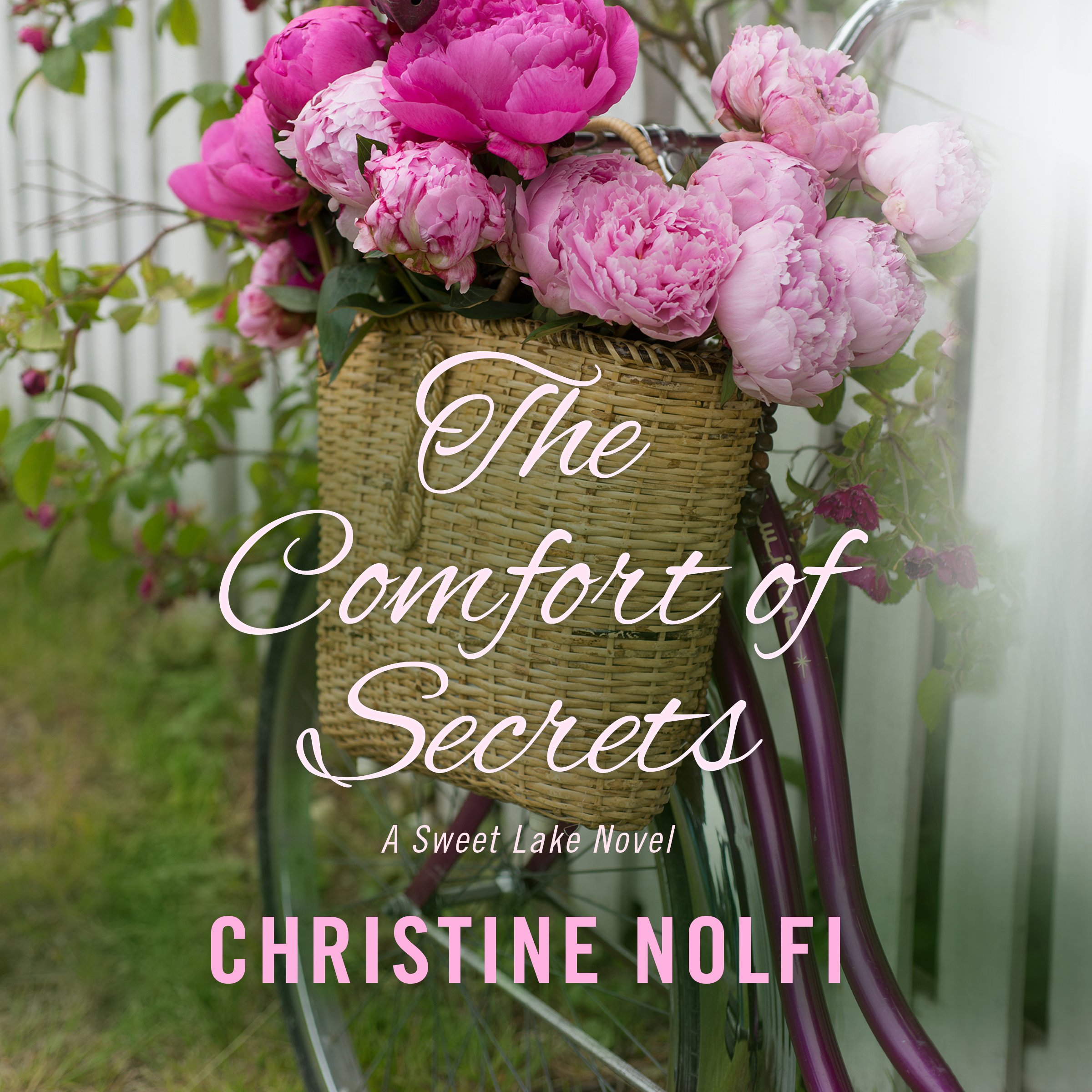 Cover art for The Comfort of Secrets