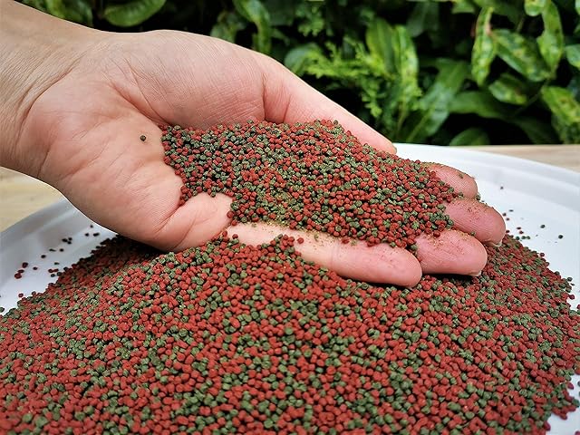 SUPER AQUARIUM LTD 100g Premium Shrimp Mix Granules Fish Food, Spirulina Algae Tropical Red Cherry, Crystal Red Shrimp Food