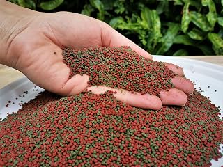 SUPER AQUARIUM LTD 100g Premium Shrimp Mix Granules Fish Food, Spirulina Algae Tropical Red Cherry, Crystal Red Shrimp Food