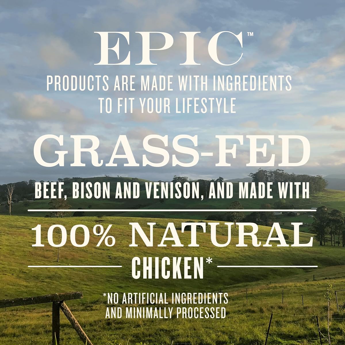 Epic Performance Bar - Chocolate Keto Protein Bar view 4