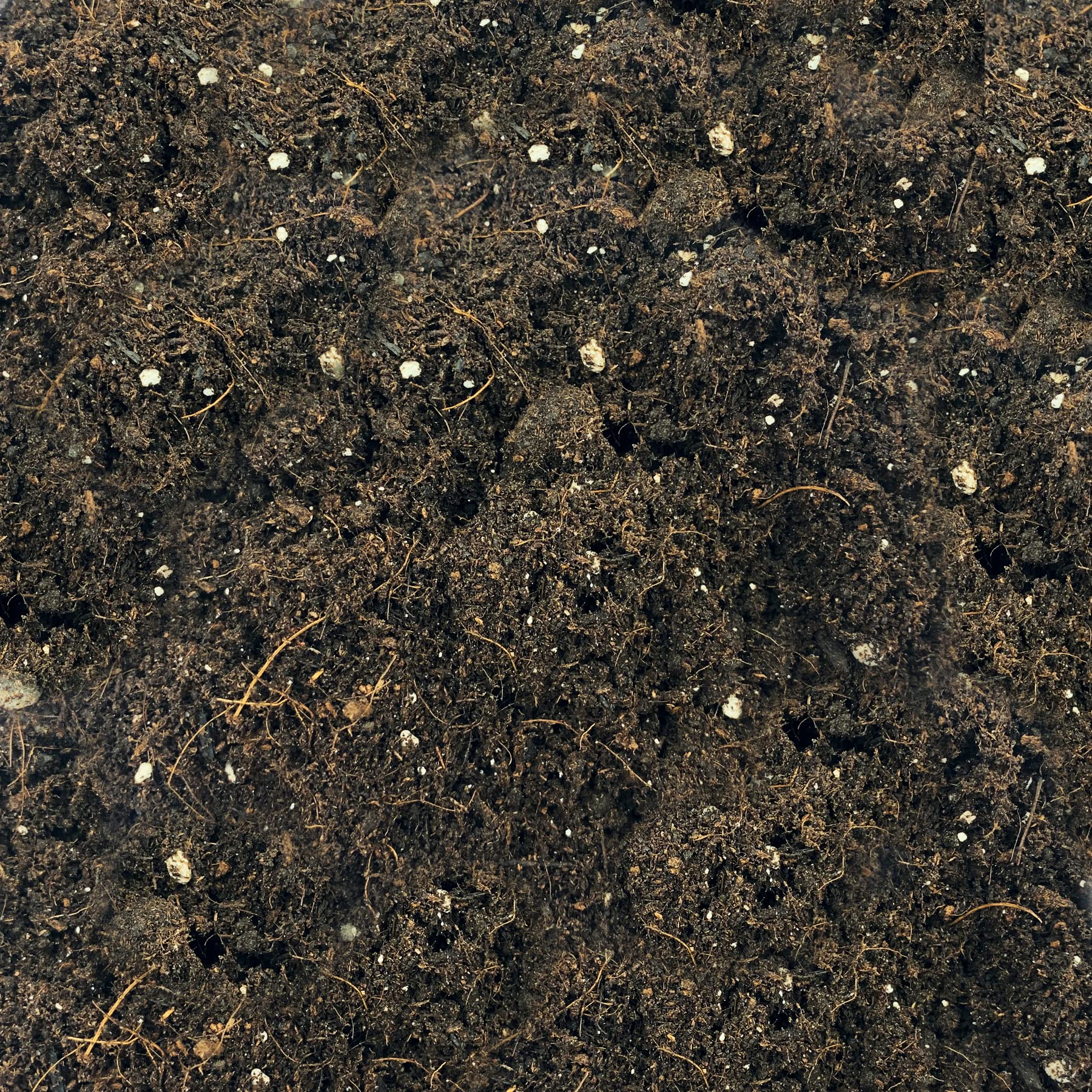 Plantawa Substrat universel 80 L, terre pour plantes, engrais naturel pour potager urbain, terrarium pour jardin extérieur, substrats et engrais