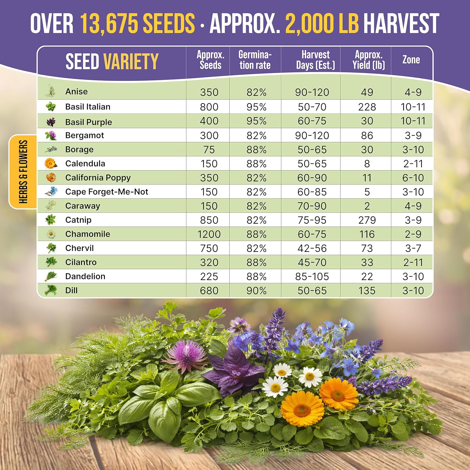 Organo Republic 30 Medicinal Tea Herb & Flower Seeds Variety Pack - 13600+ Non-GMO Heirloom Flower Seeds for Outdoor & Indoor Garden, Including Bergamot, Catnip, Calendula, Dandelion, Lovage, Zinnia