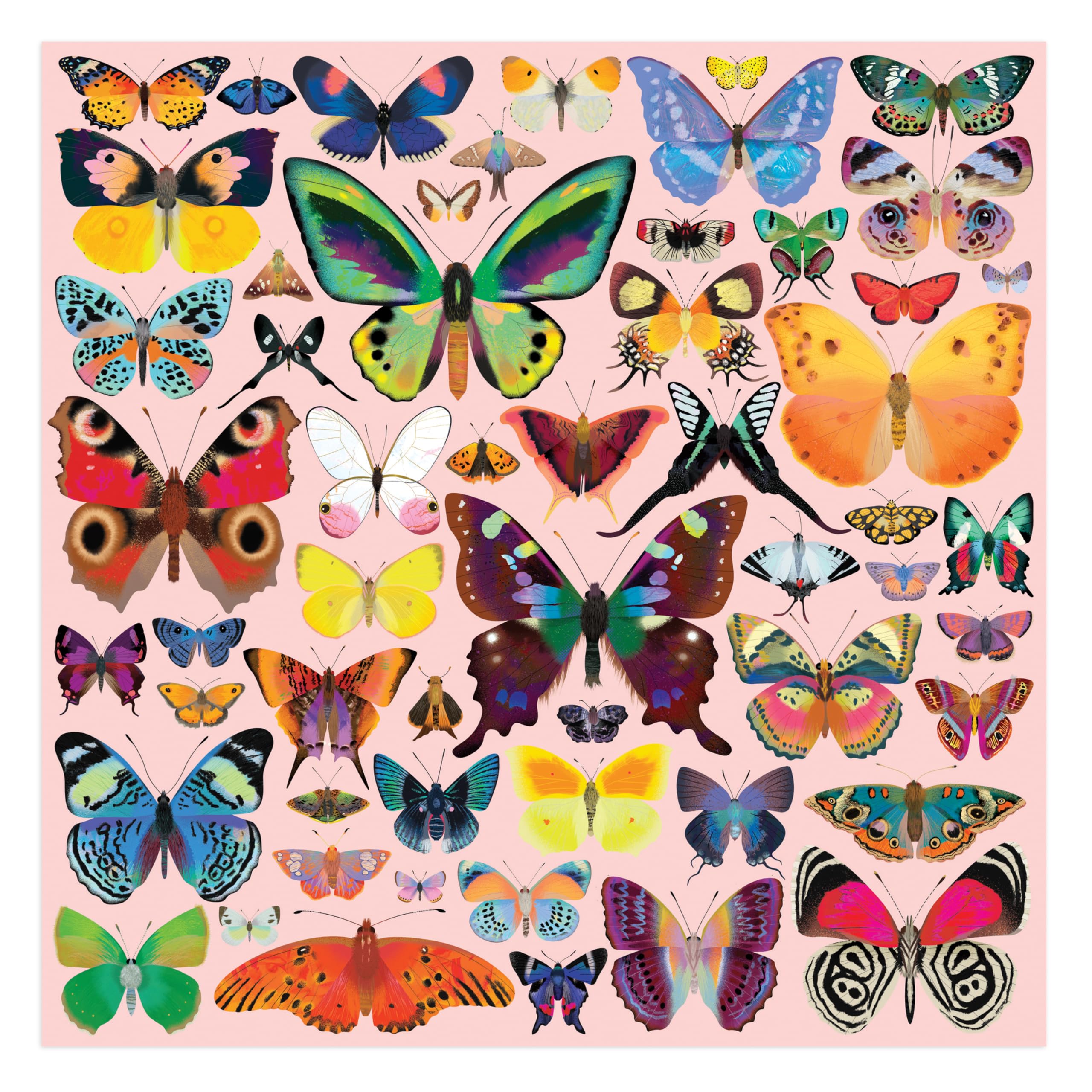 Mudpuppy Brilliant Butterflies - 500 Piece Family Jigsaw Puzzle with Colorful and Fun Illustrations of Beautiful Butterflies for Children Ages 8 and Up - Image 2