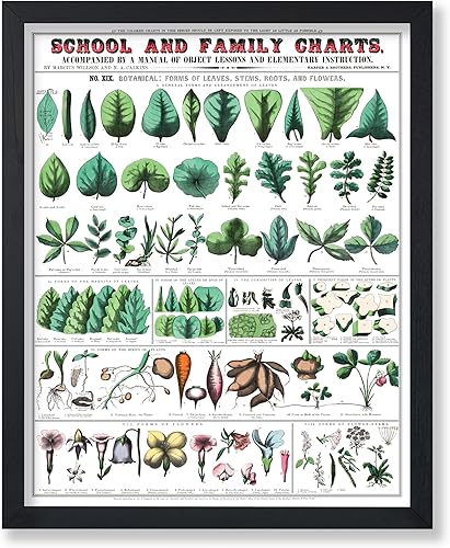 Miniatura 190 de Poster Master Póster vintage de orquídea, estampado de flores retro, arte de pared de plantas exóticas, arte botánico, regalo para hombres y
