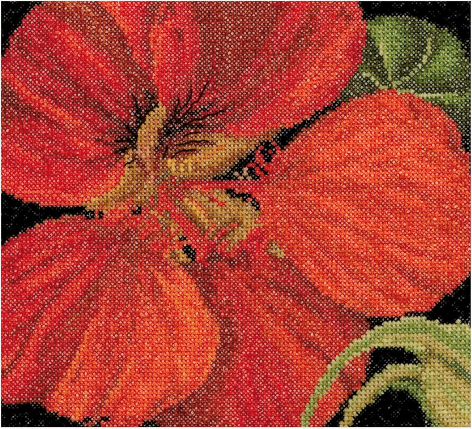 Thea Gouverneur Cross Stitch Kit 5.75"X5.5"-East Indian Cherry On Aida (18 Count)