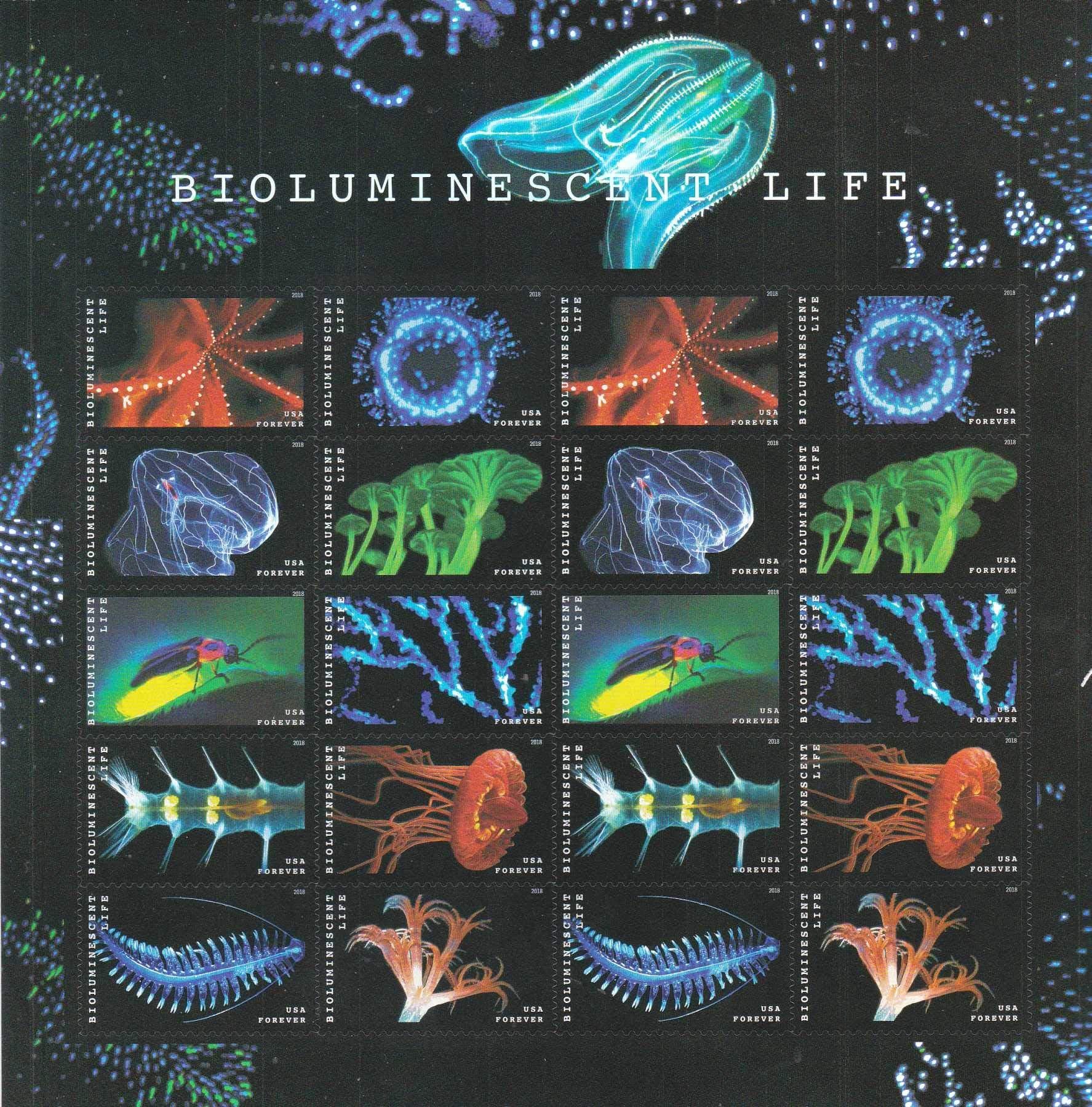 KITMOUS USPS Forever Stamp: Bioluminescence (1 Sheet of 20 Stamps) - Rubber, Rectangular