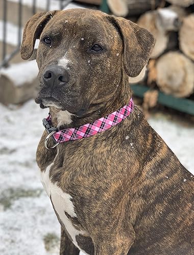 Miniatura 6 de Native Pup Collar de perro a cuadros, leñador rojo, tartán, azul, rosa, ajustable para perros grandes y pequeños (rosa, grande)