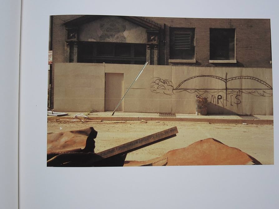 The Democratic Forest: William Eggleston, Eudora Welty