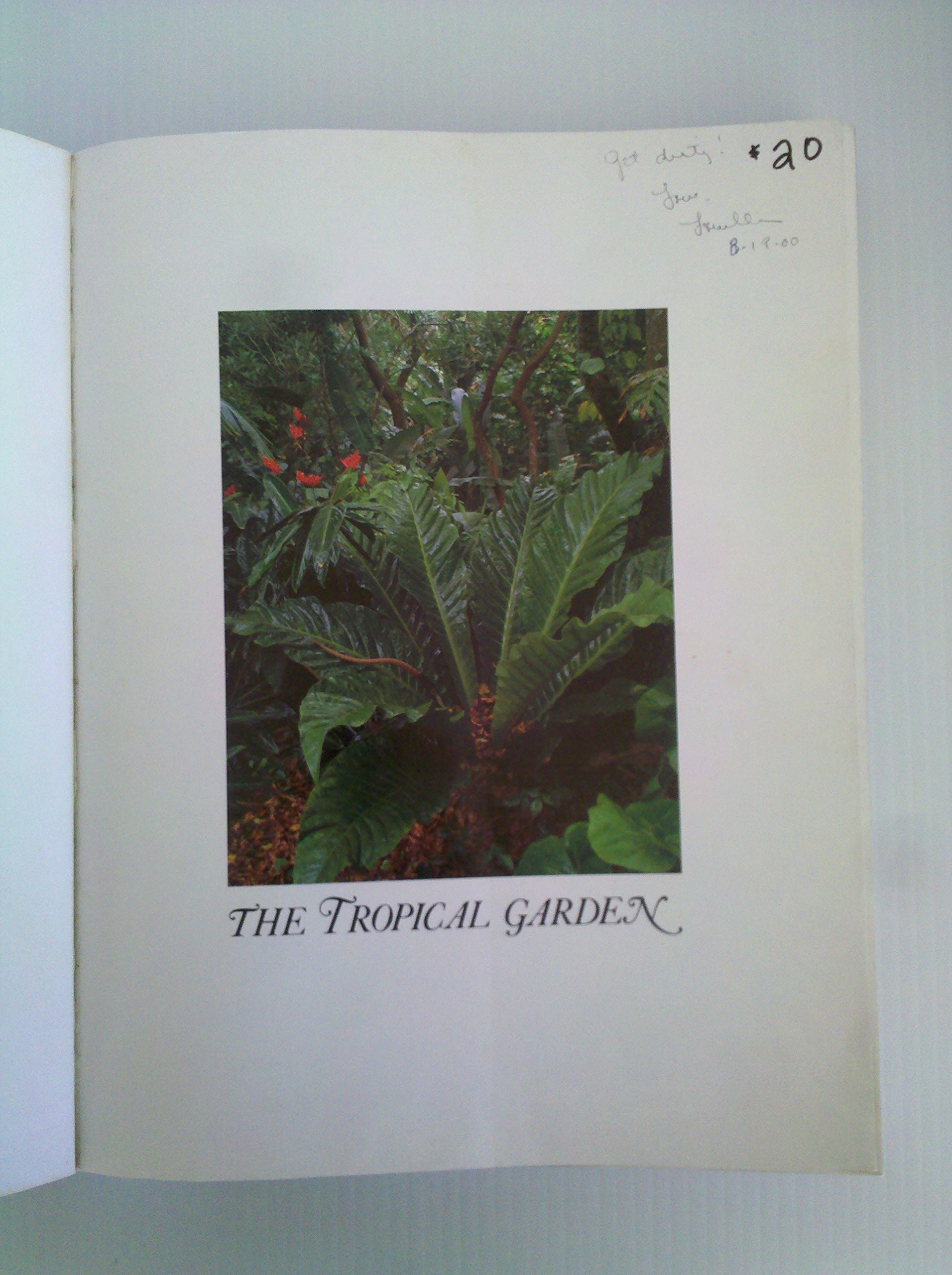The Tropical Garden