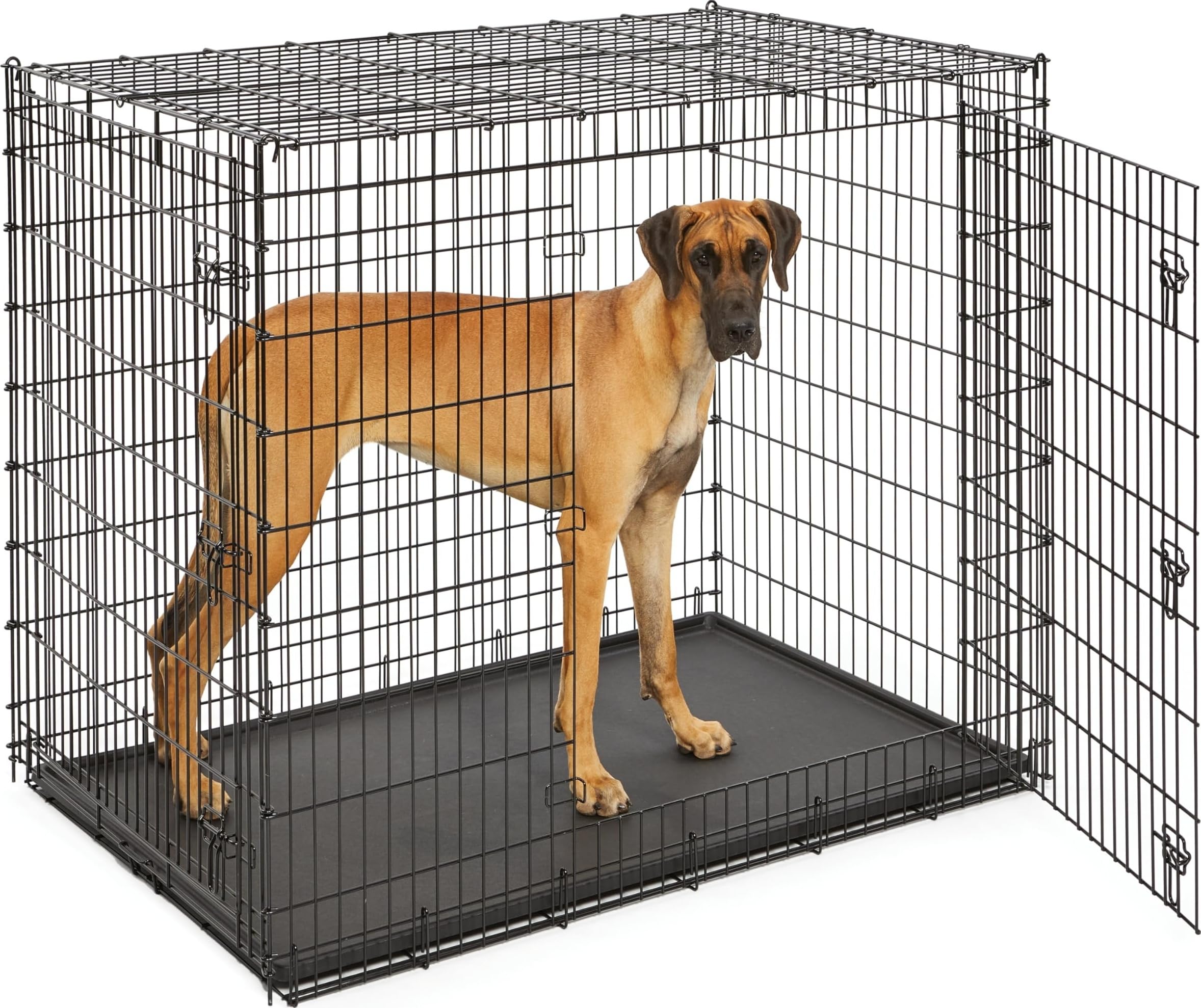 MidWest Solutions 54-Inch Double Door Crate