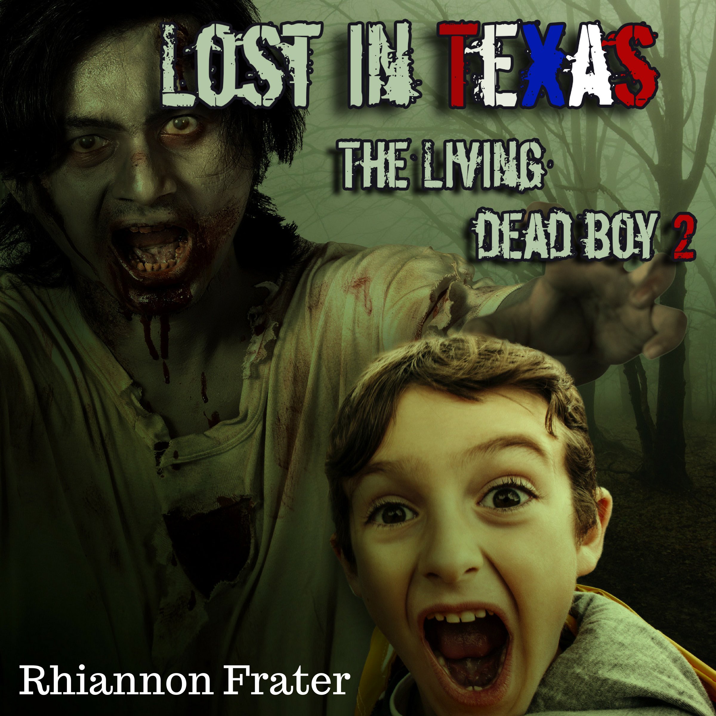 Cover art for Lost in Texas