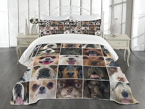 Miniatura 2 de Lunarable Colcha para amantes de los perros, perros en estudio, chihuahua, chow chow, cocker spaniel, caniche de raza pura, estampado de perro