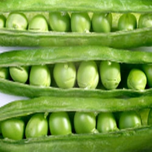 Blue Cheese nChops - //medicalbooks.filipinodoctors.org